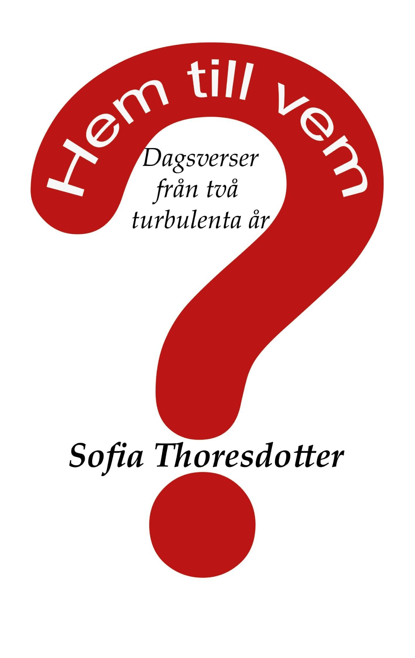 Hem till vem?: Dagsverser från två turbulenta år book