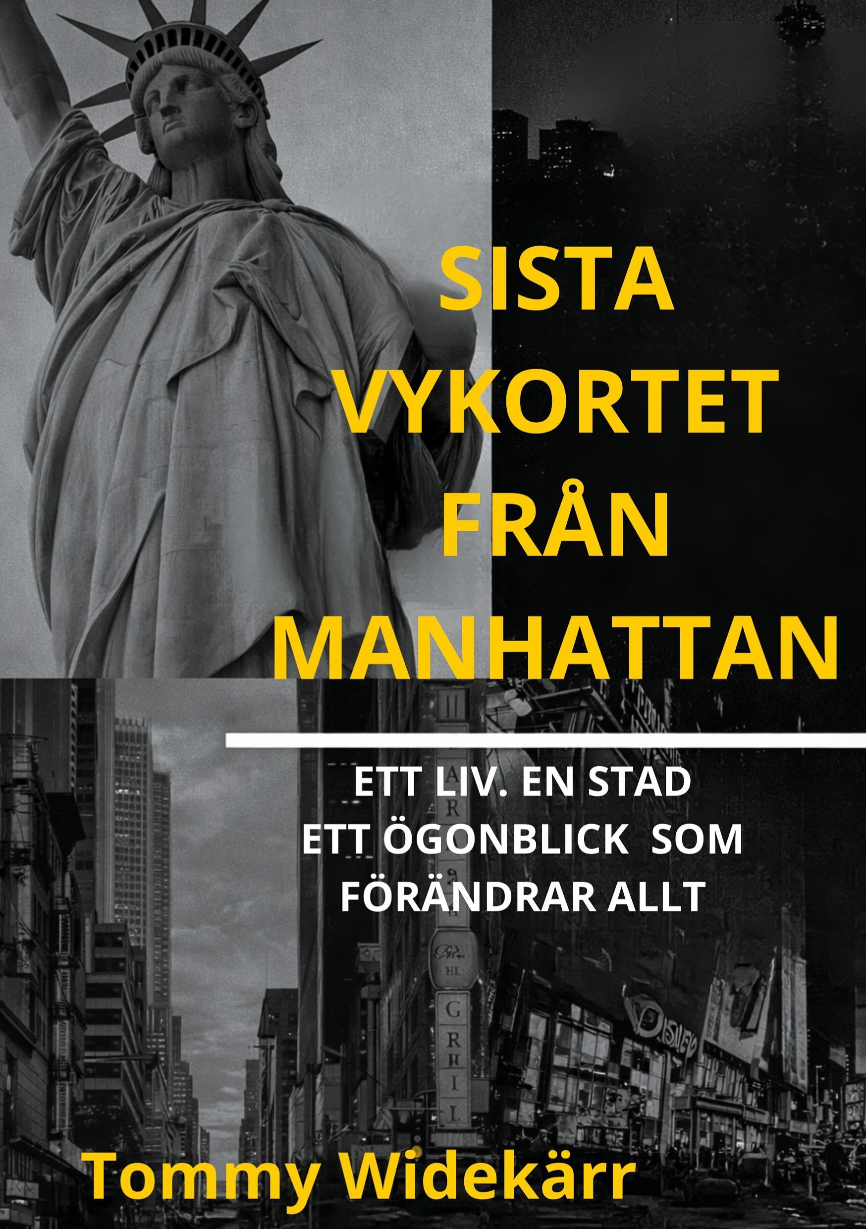 Sista vykortet från Manhattan Contemporary literature