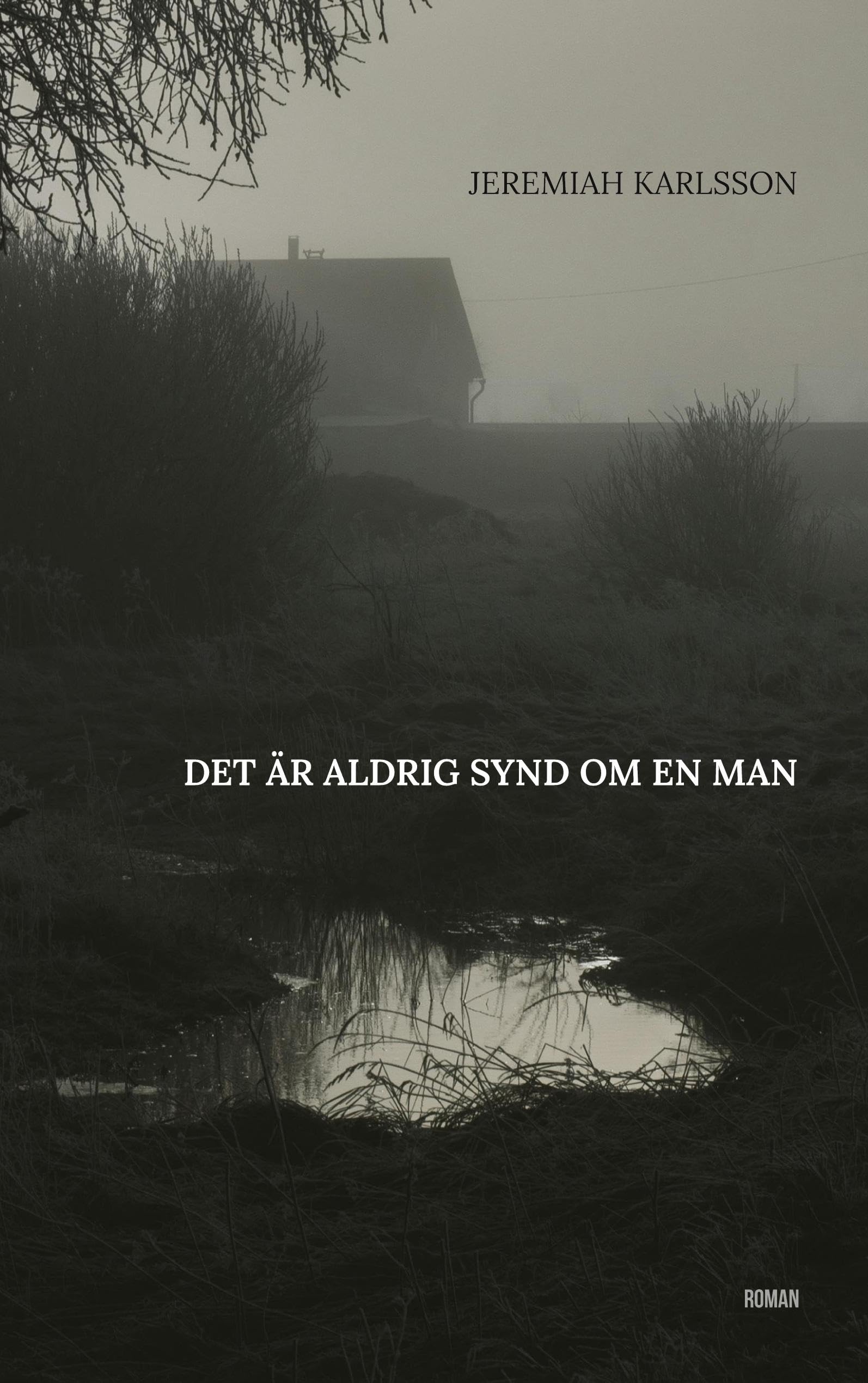Det är aldrig synd om en man Contemporary literature