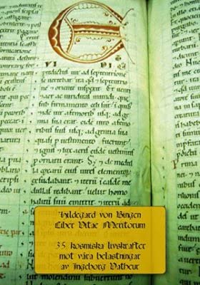 Hildegard von Bingen: Liber vitae meritorum : 35 kosmiska livskrafter mot våra belastningar Books