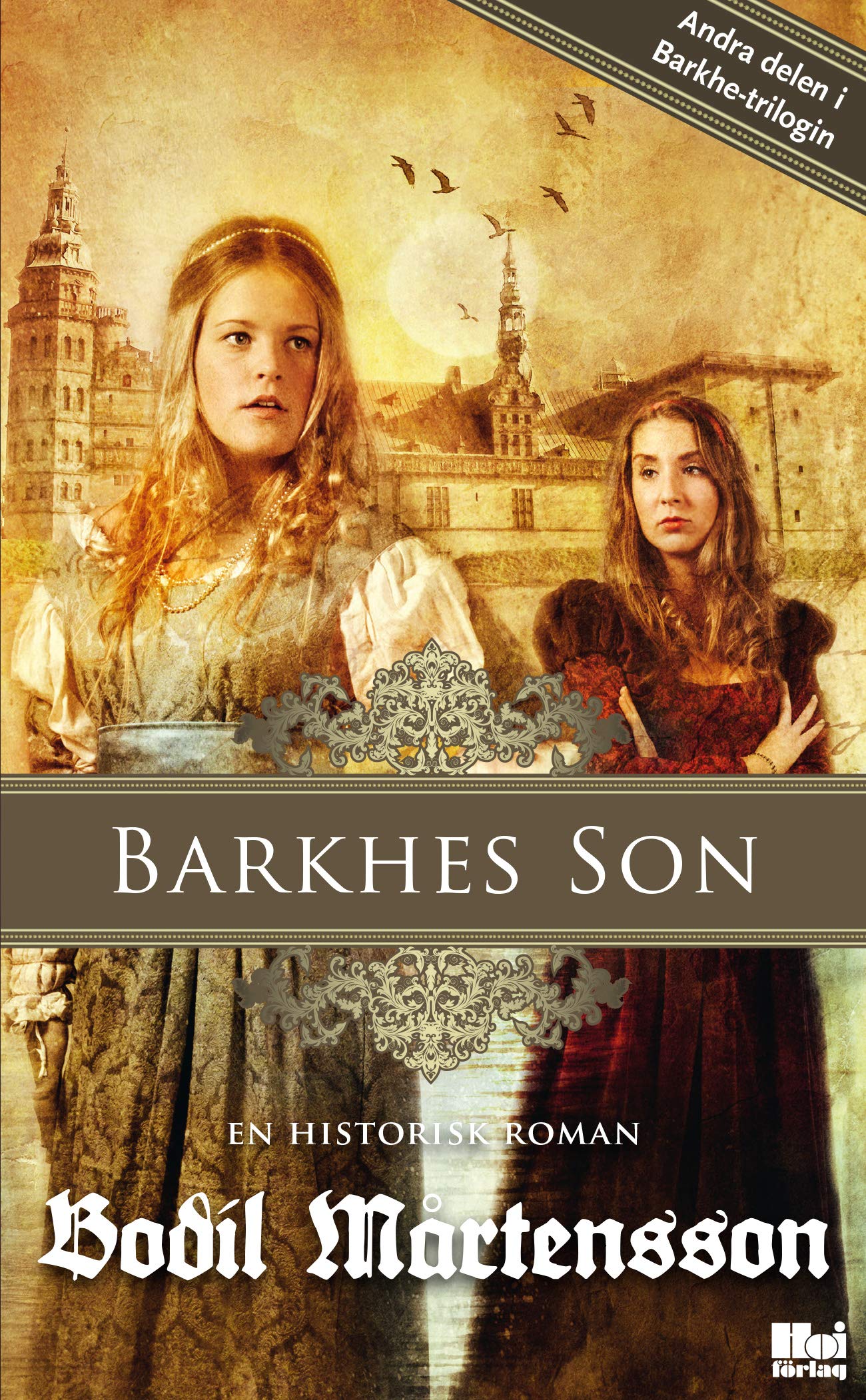 Barkhes son : en historisk spänningsroman Contemporary literature Books