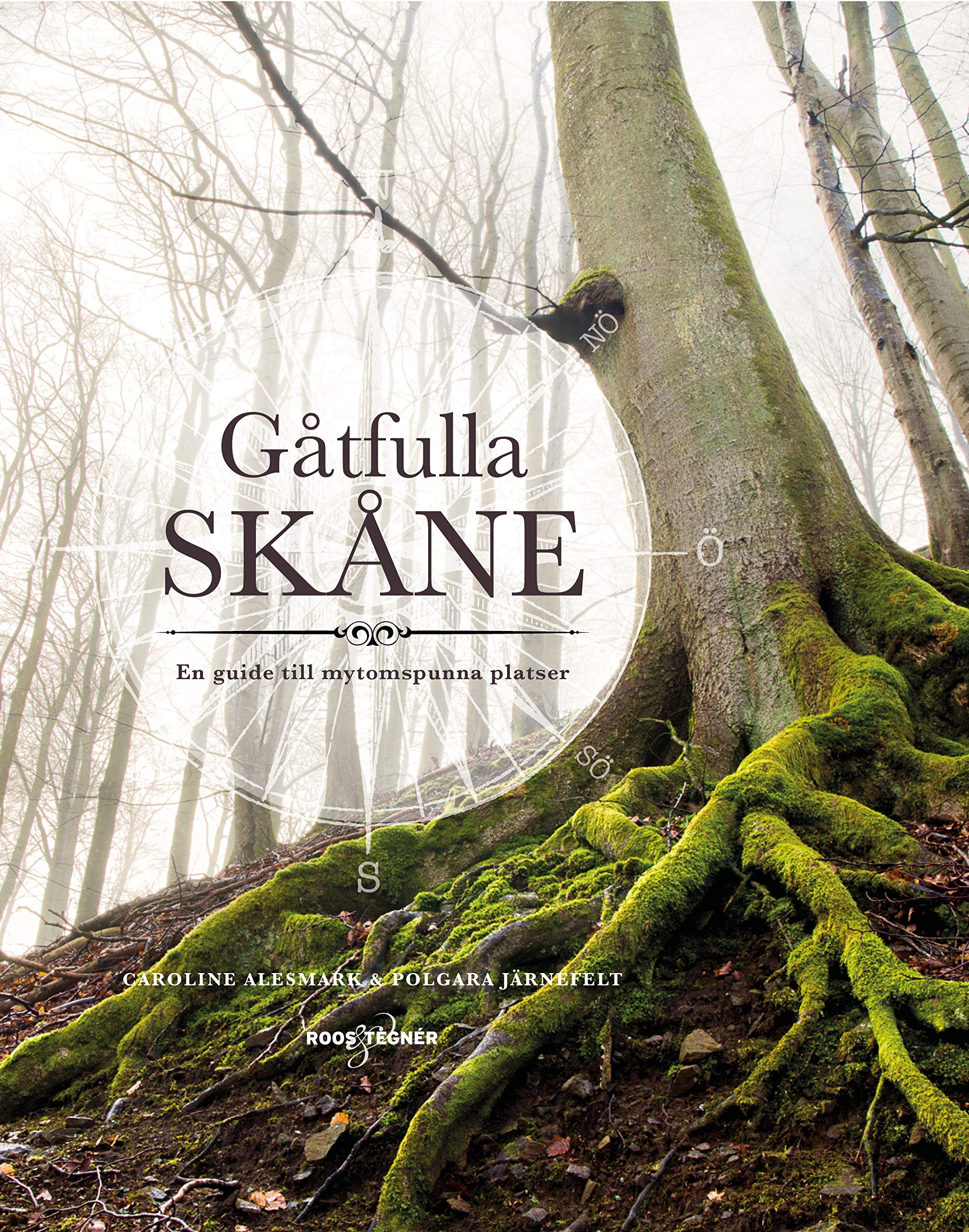 Gåtfulla Skåne : En guide till mytomspunna platser Books