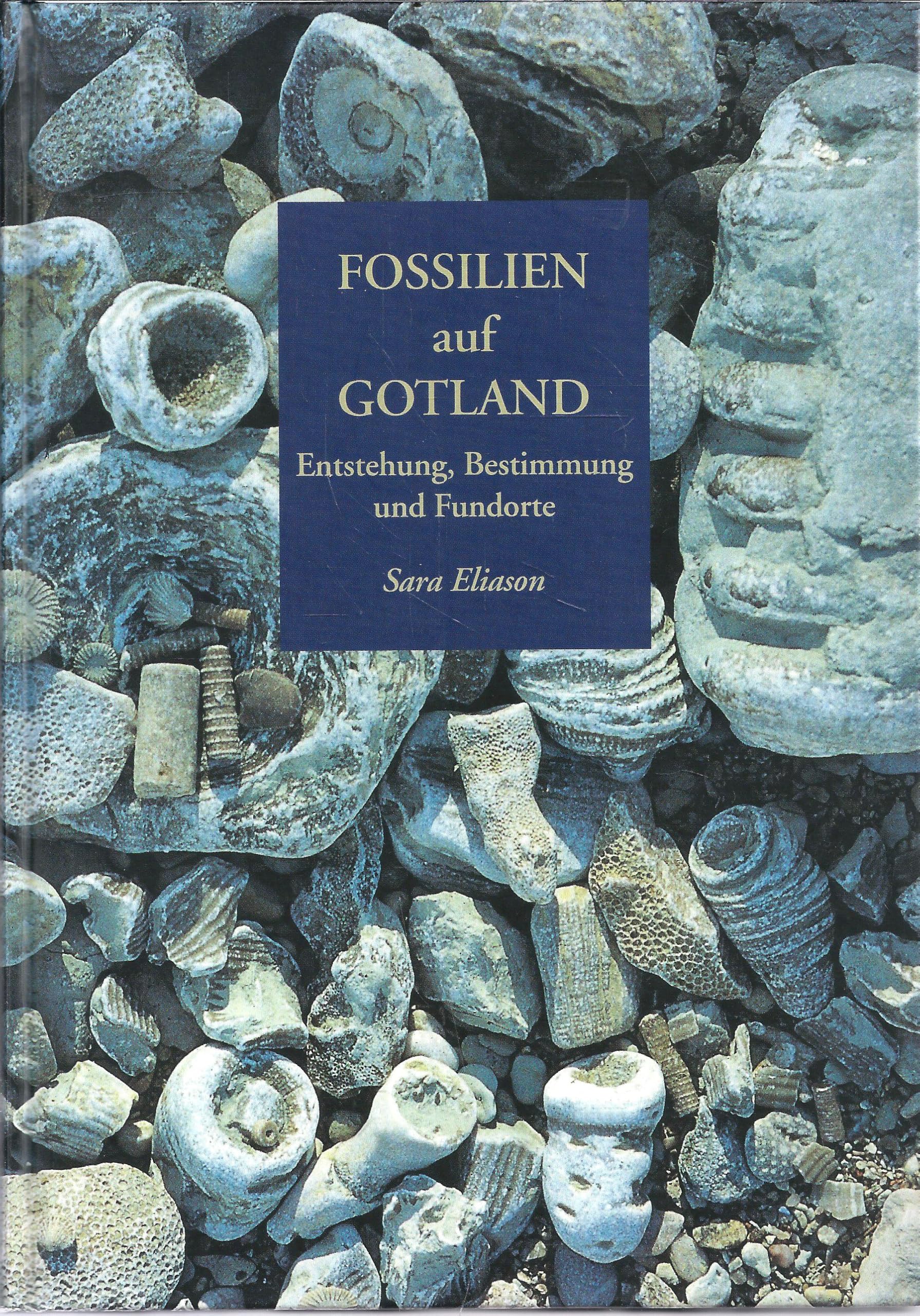 Fossilien auf Gotland. Entstehung, Bestimmung und Fundorte (Russi) Books