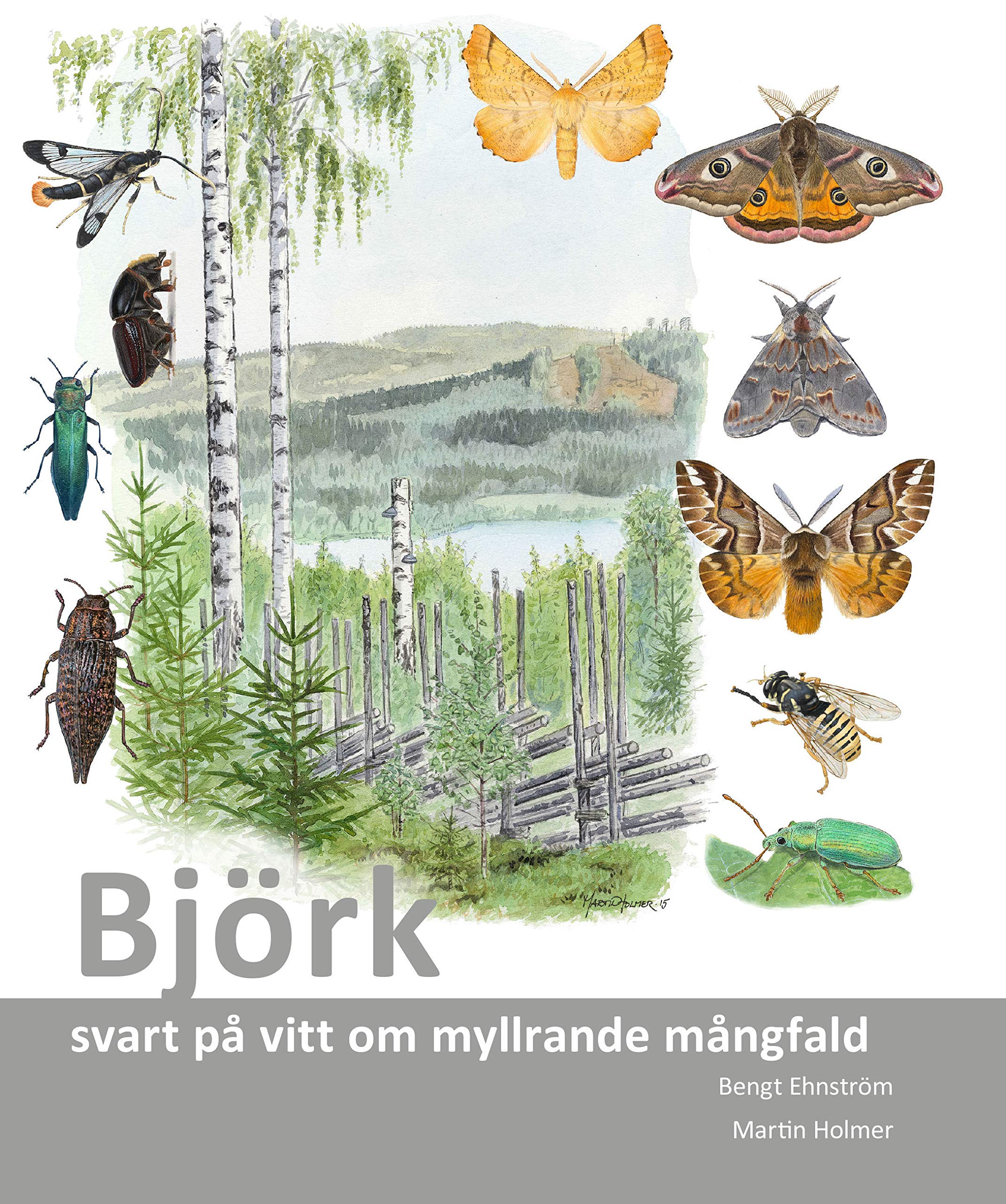 Björk : svart på vitt om myllrande mångfald book