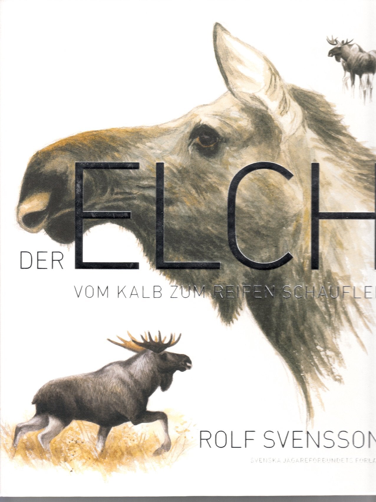 Der Elch - Vom Kalb zum reifen Schaufler Leisure & Fun