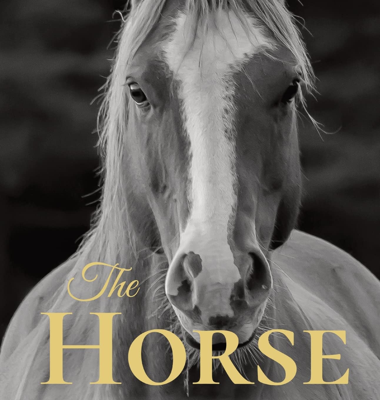 The Horse: Coffee Table Book With Quotations About The Magnificent Equines. Nature & Animals