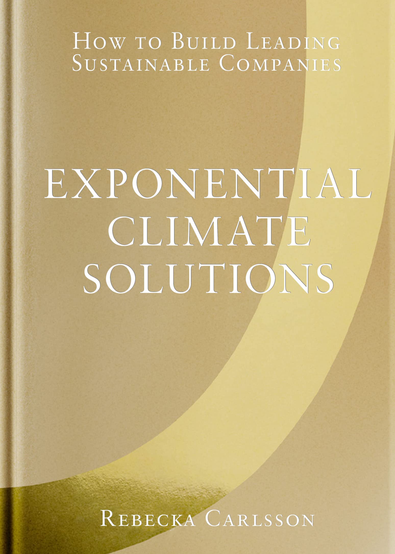 Exponential climate solutions : how to build leading sustainable companies book