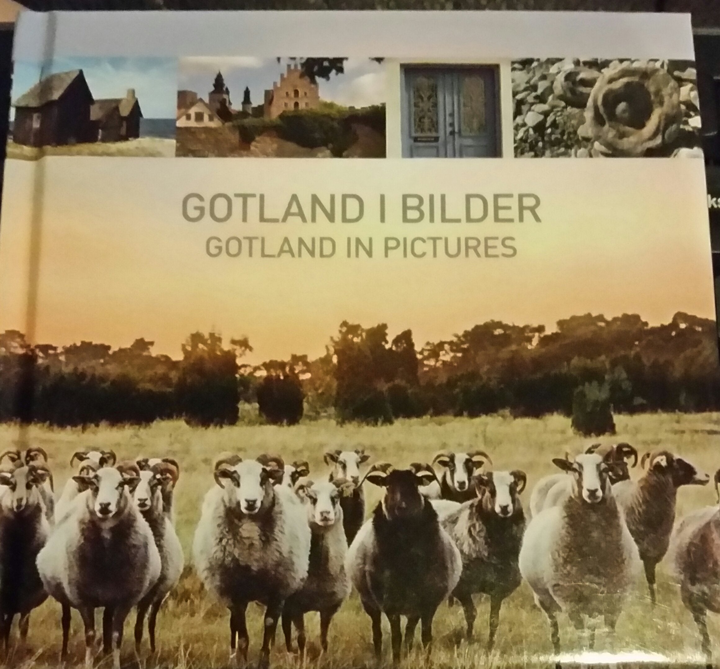 Gotland i bilder = Gotland in pictures Books