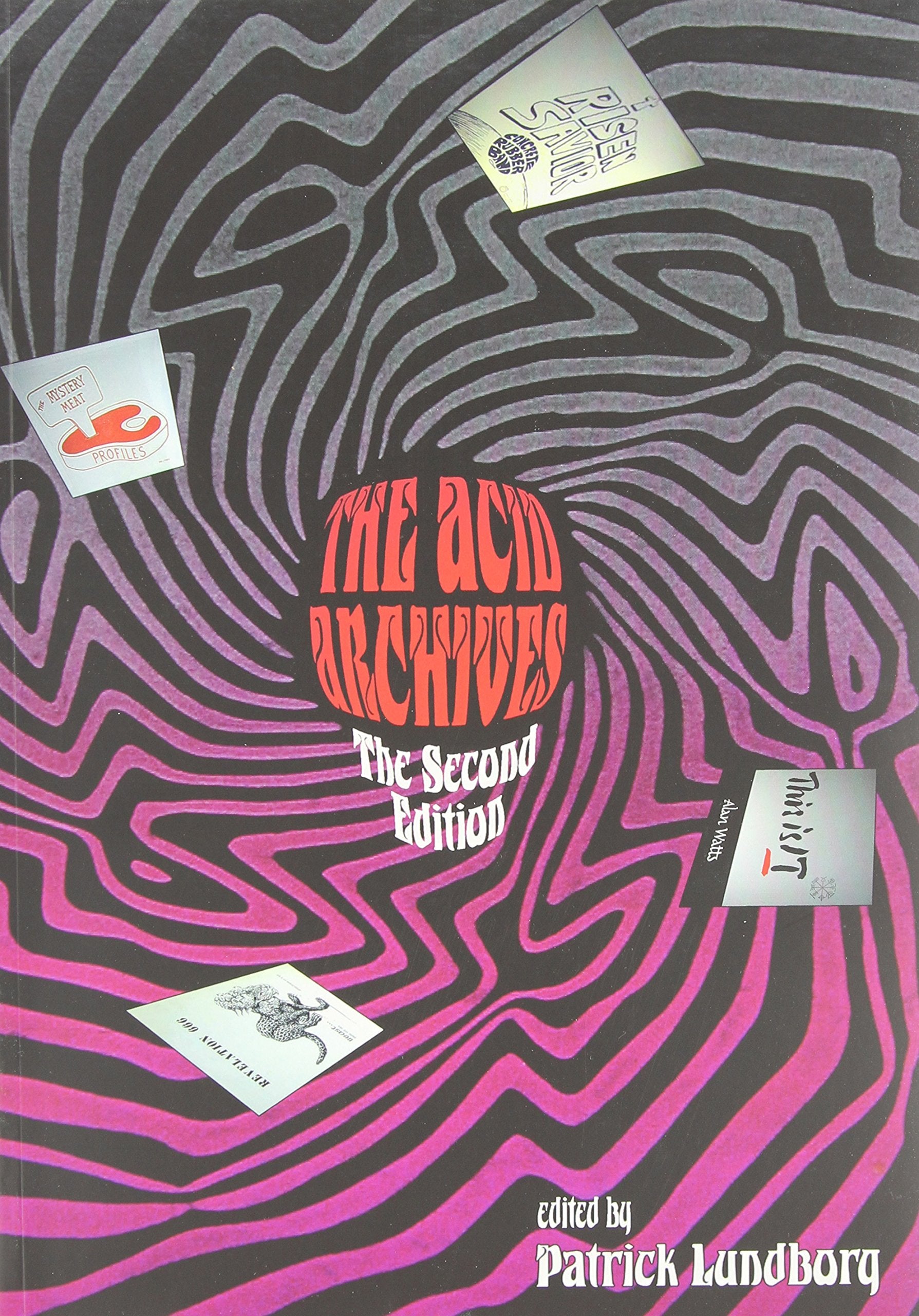 The Acid Archives: A Guide to Underground Sounds 1965-1982 Arts & Music