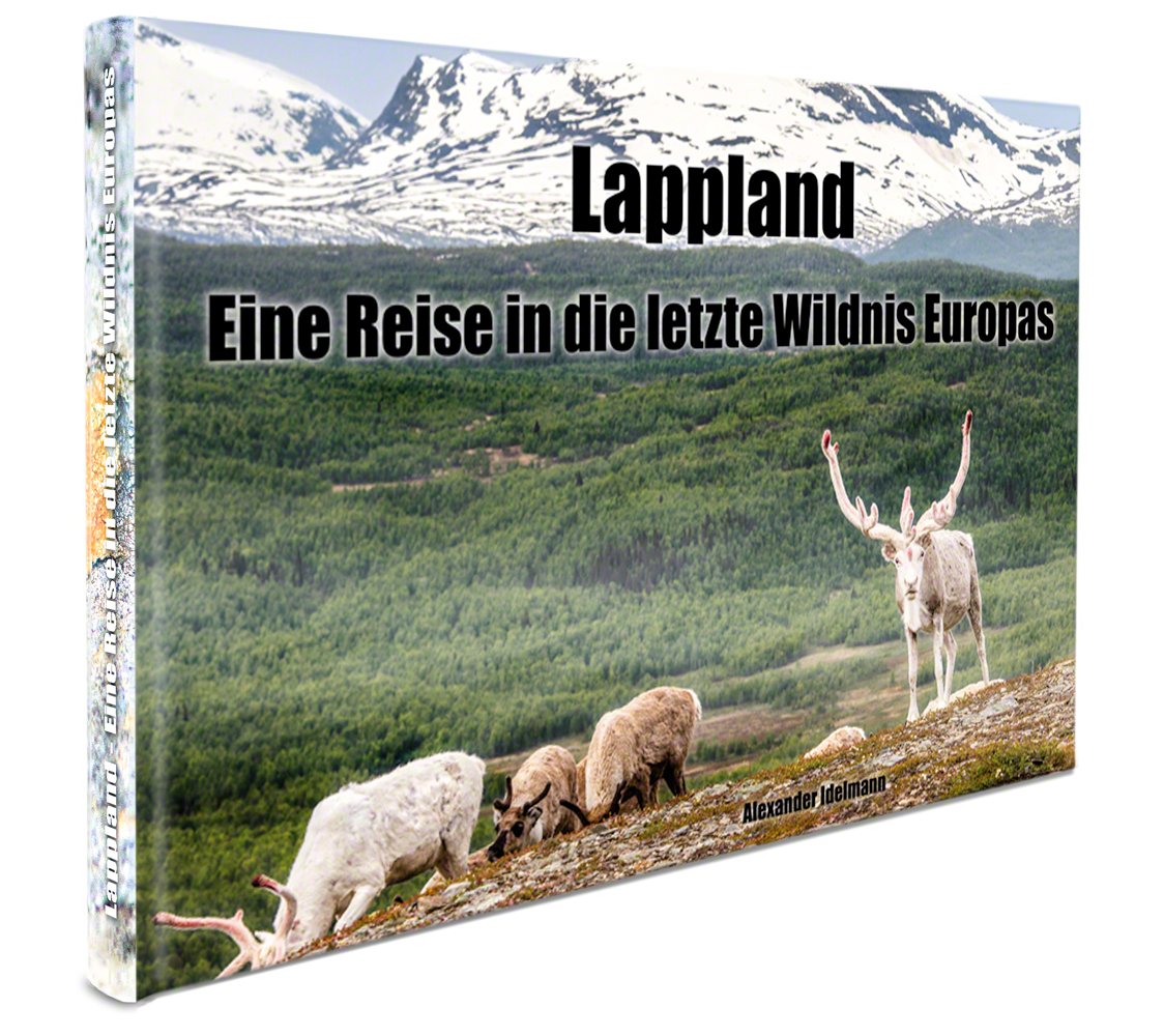 Lappland - Eine Reise in die letzte Wildnis Europas Leisure, Home & Garden
