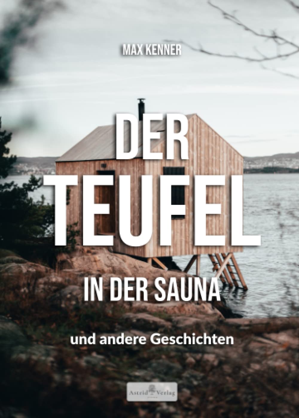 Der Teufel in der Sauna: und andere Geschichten Contemporary literature