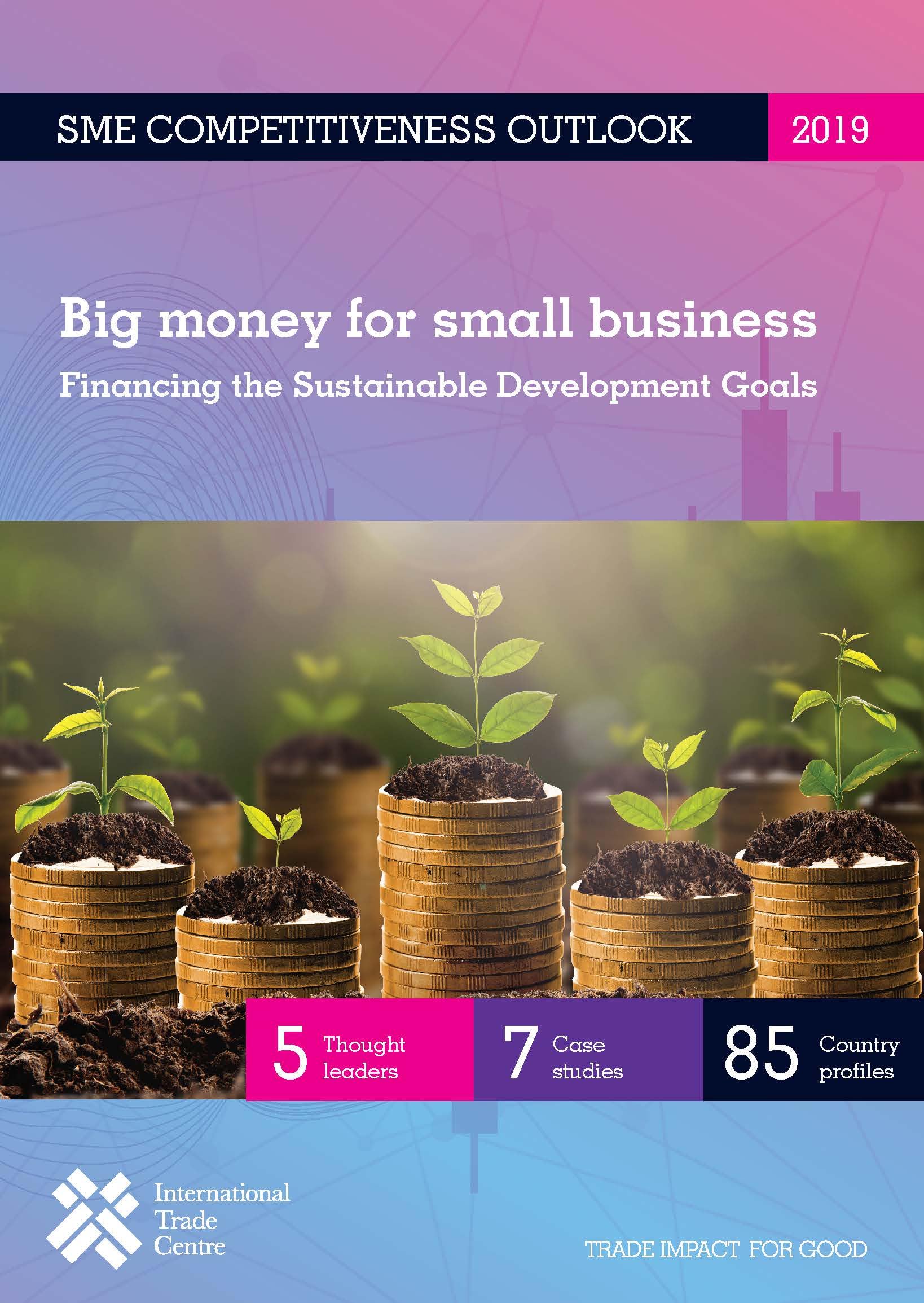 Product Image: SME Competitiveness Outlook 2019