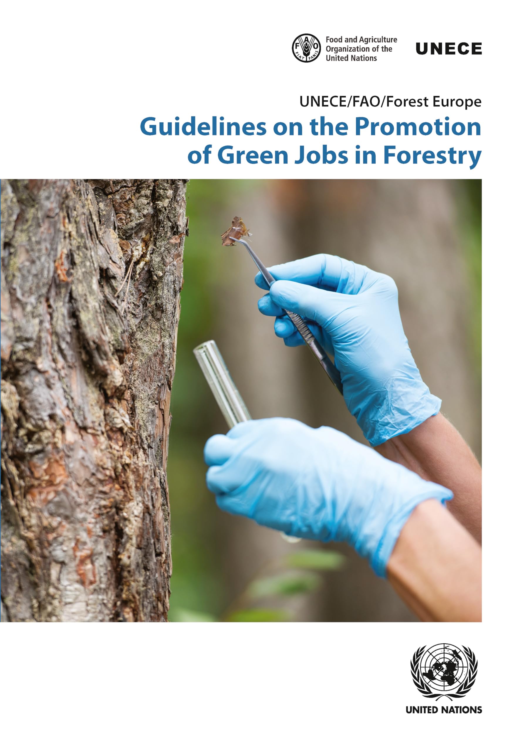 Guidelines on the Promotion of Green Jobs in Forestry (Geneva Timber and Forest Discussion Papers, Band 77) Politics & History