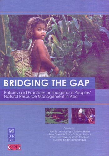 Bridging the Gap: Policies and Practices on Indigenous Peoples' Natural Resource Management in Asia book