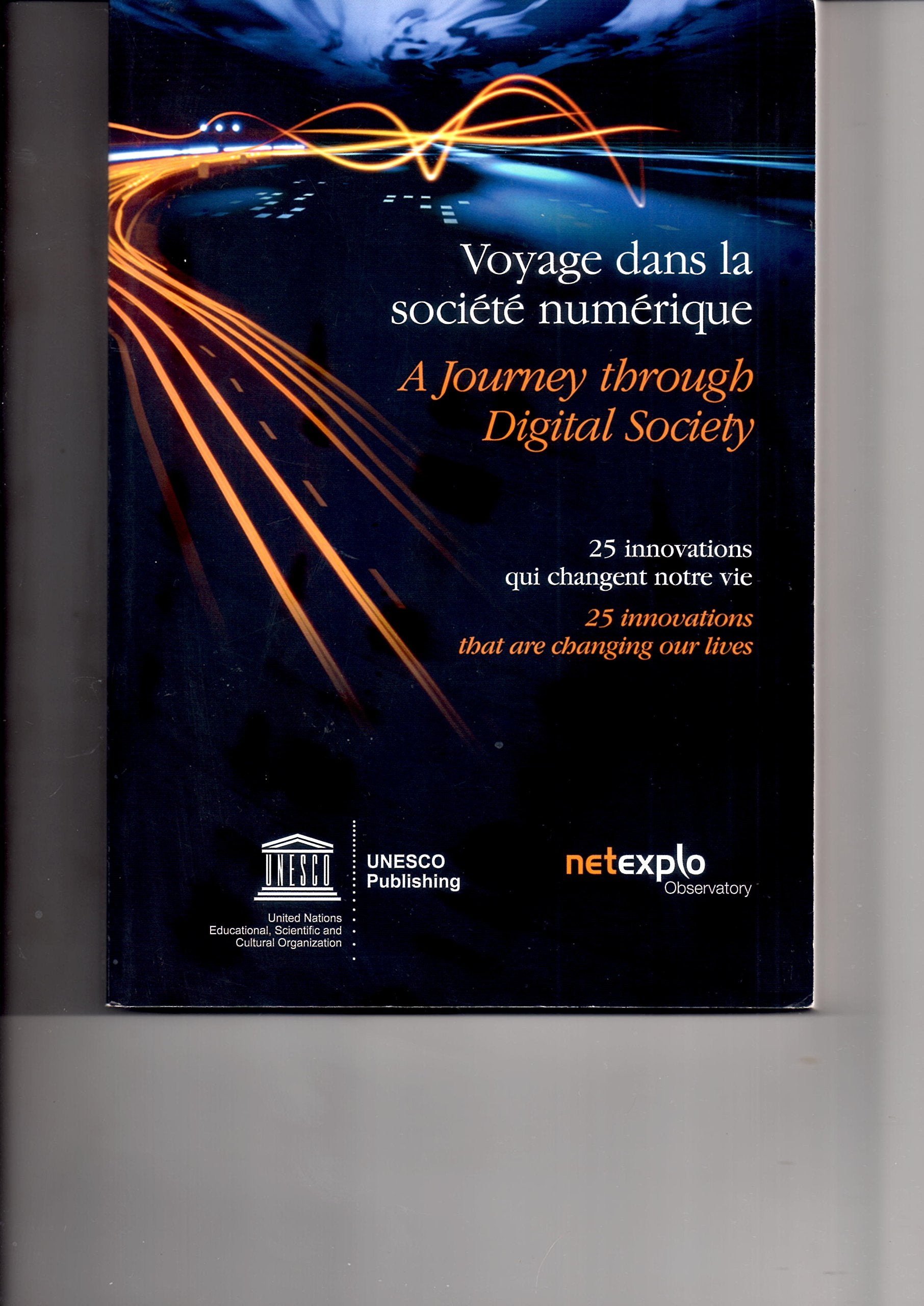 Voyage dans la société numérique book