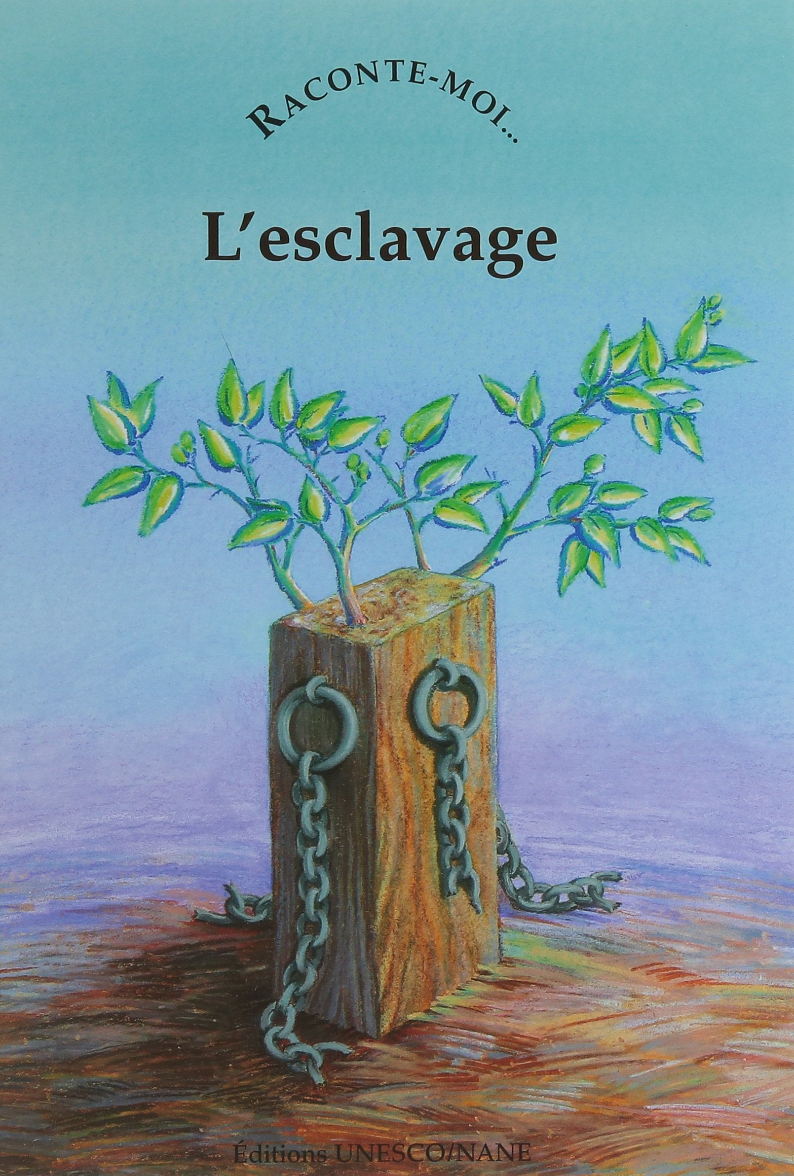 Raconte-moi l'esclavage book
