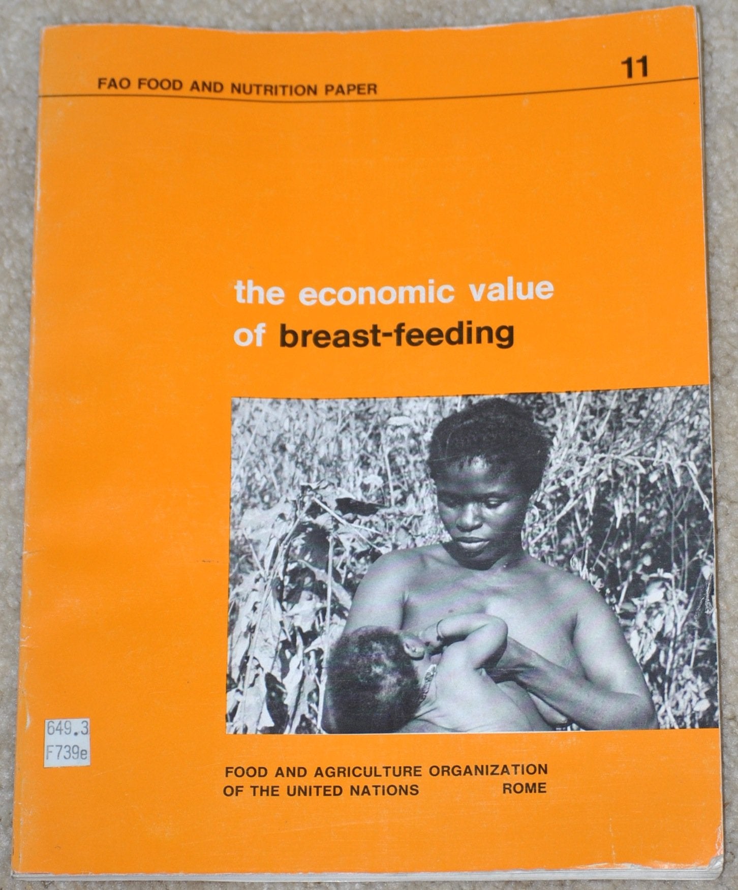 The Economic Value of Breast-Feeding (Fao Food and Nutrition Paper ; 11) Health, Nutrition & Fitness