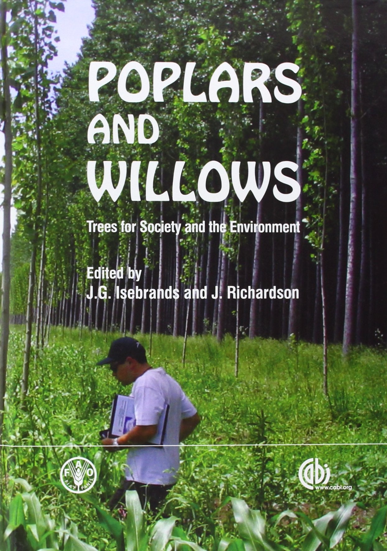 Poplars and Willows Mathematics