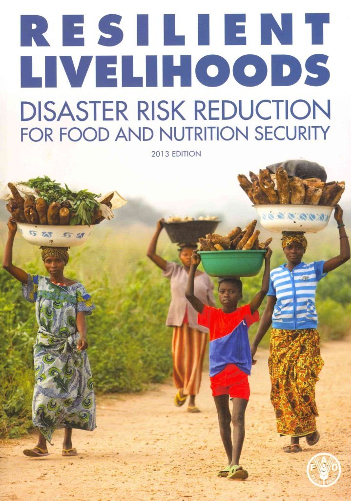Resilient Livelihoods Disaster Risk Reduction for Food and Nutrition Security book