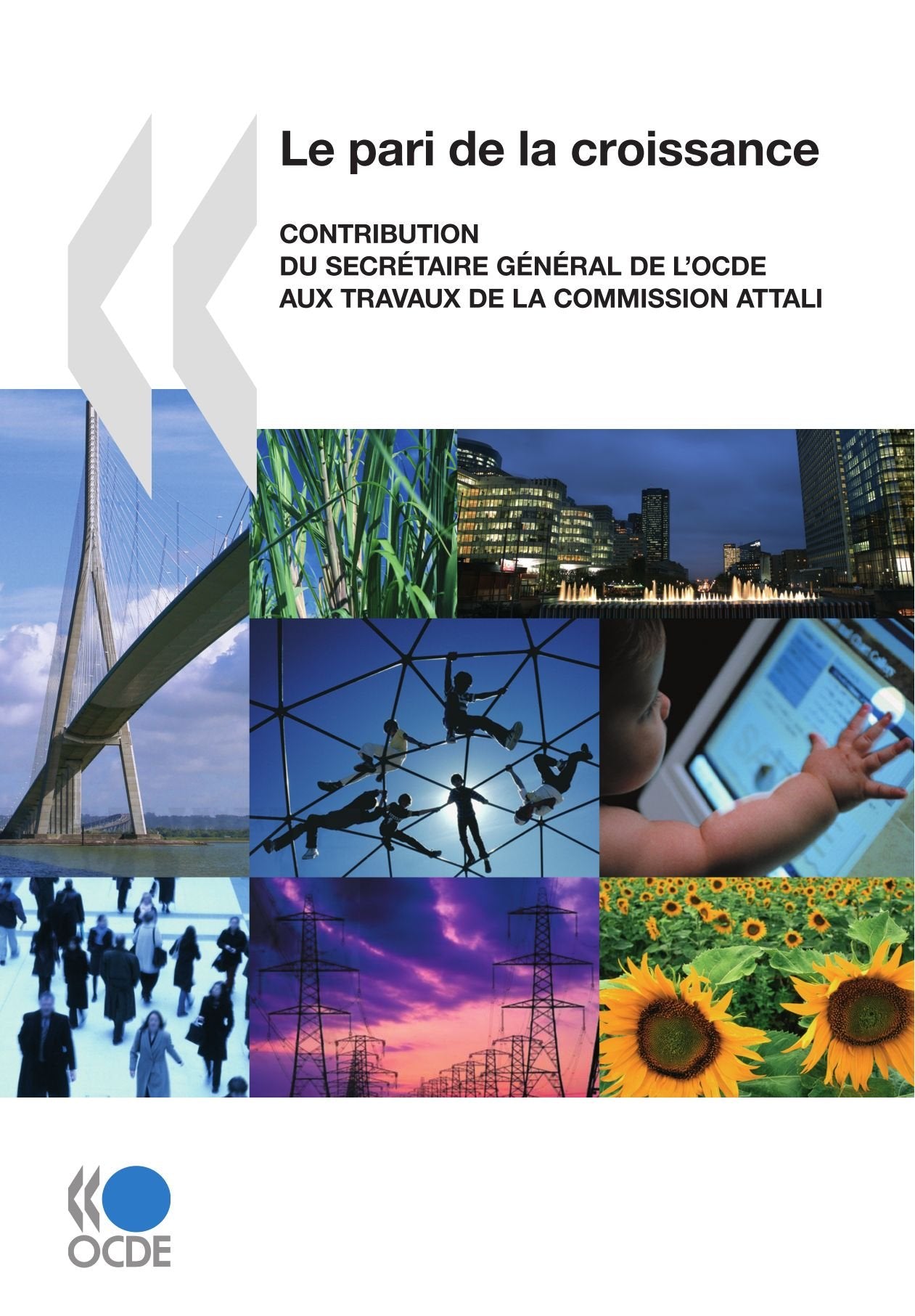 Le pari de la croissance : Contribution du Secrétaire général de l'OCDE aux travaux de la Commission Attali book