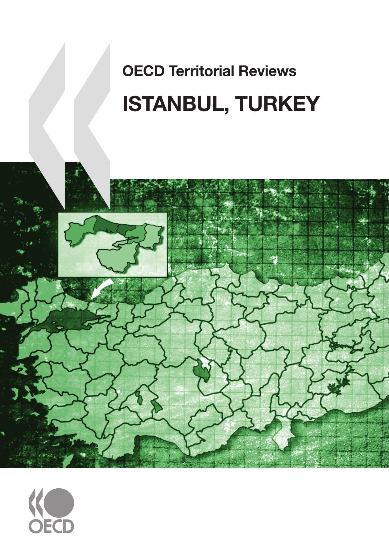 OECD Territorial Reviews OECD Territorial Reviews: Istanbul, Turkey 2008: Edition 2008 Social Sciences