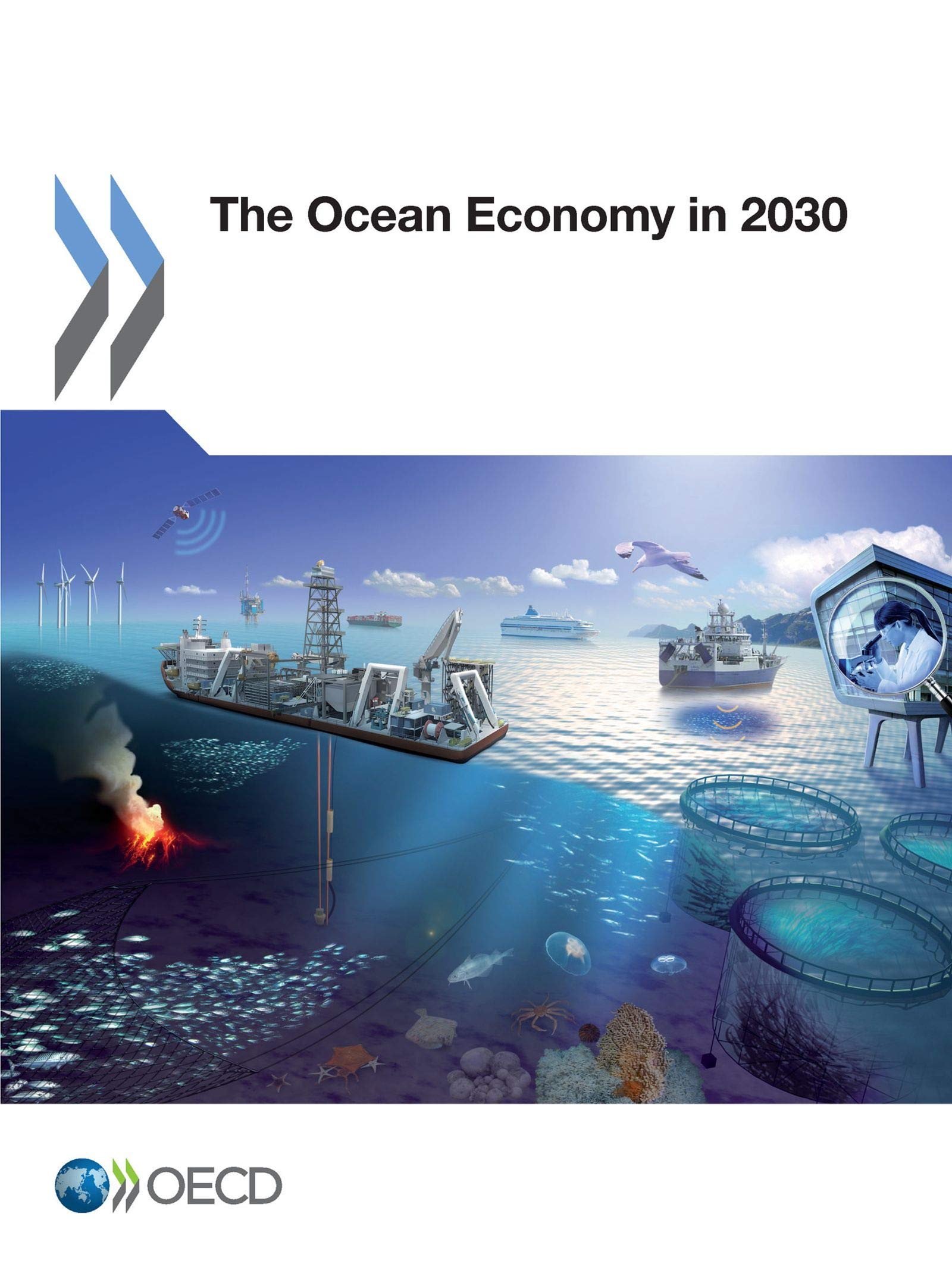 The Ocean Economy in 2030: Edition 2016 book