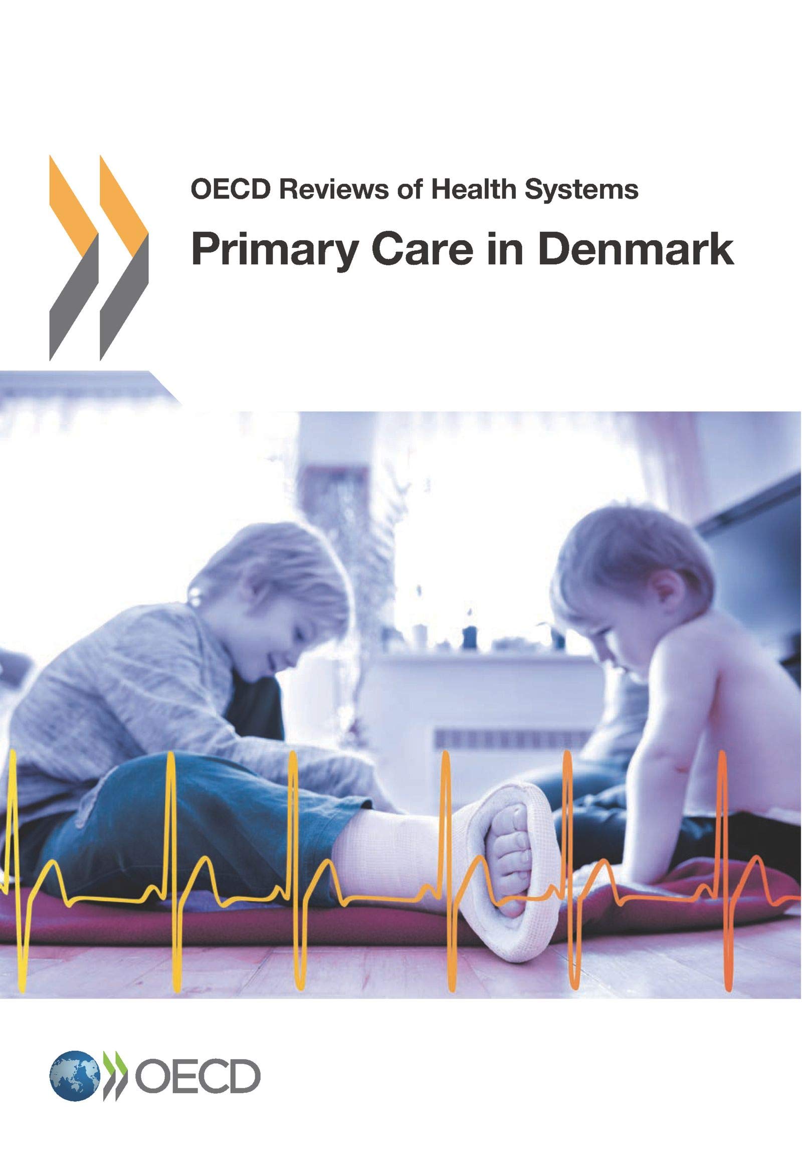 Primary Care in Denmark book