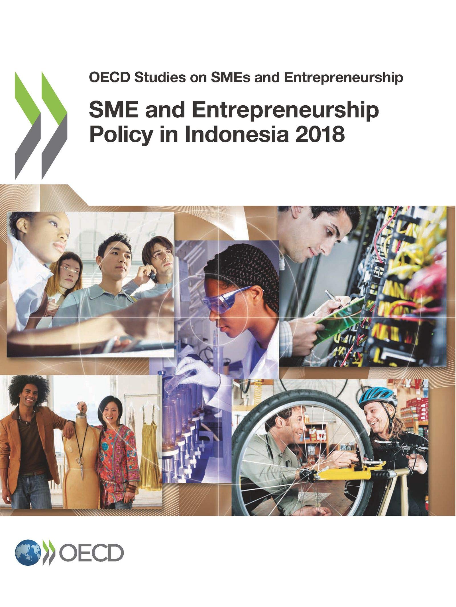 OECD Studies on SMEs and Entrepreneurship SME and Entrepreneurship Policy in Indonesia 2018 Business, Finance & Career