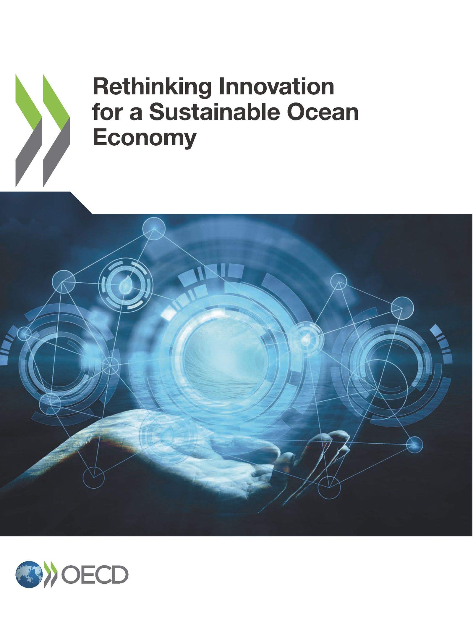 Rethinking Innovation for a Sustainable Ocean Economy book