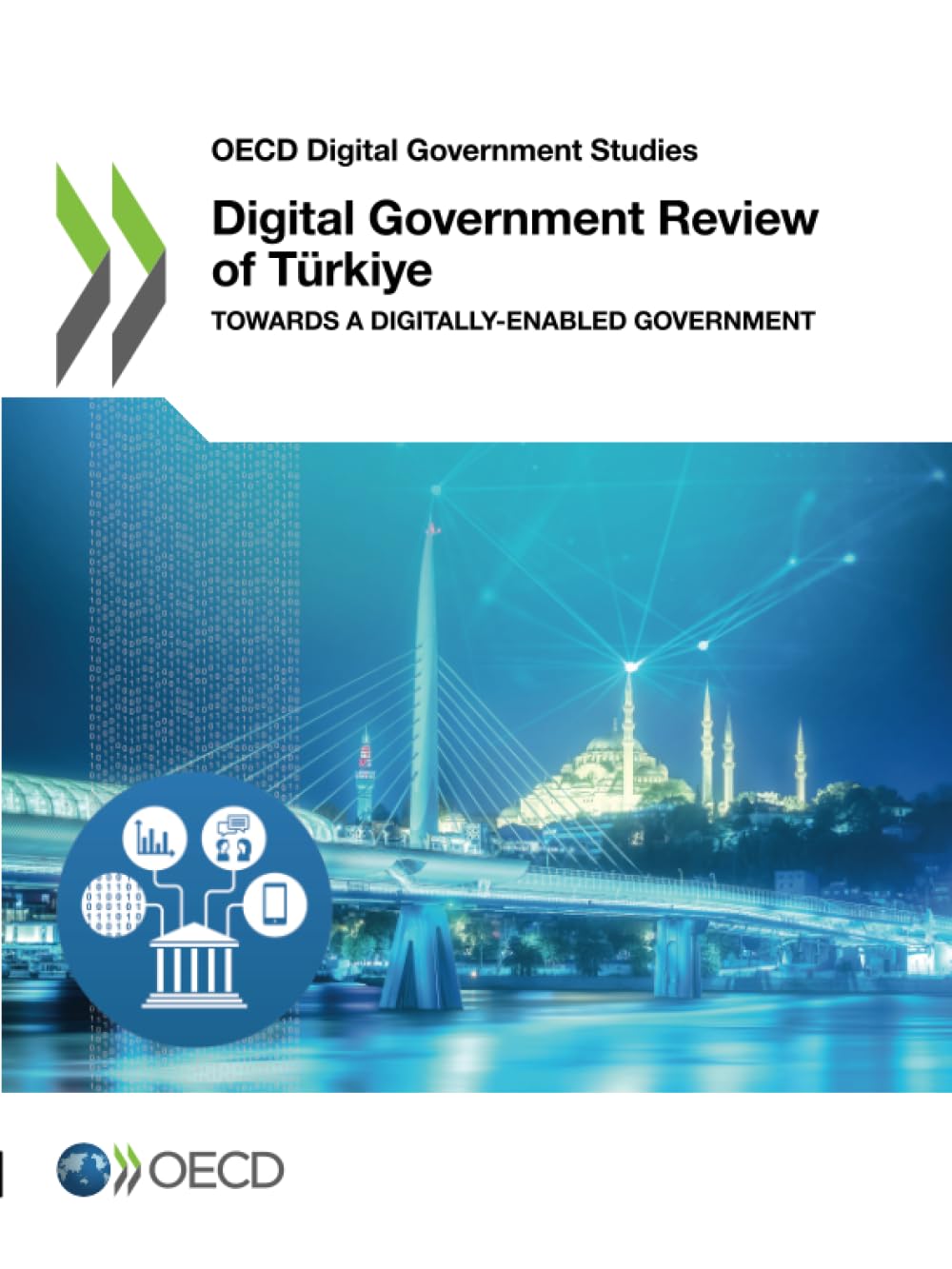 Digital Government Review of Türkiye Computer Science