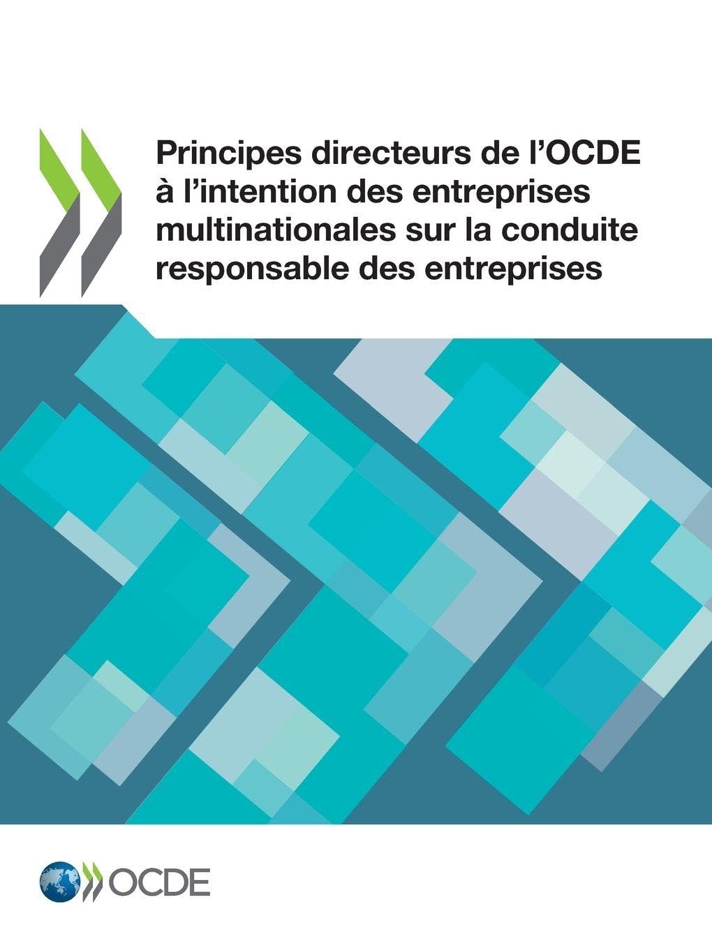 Principes directeurs de l'OCDE à l'intention des entreprises multinationales sur la conduite responsable des entreprises Business & Technology