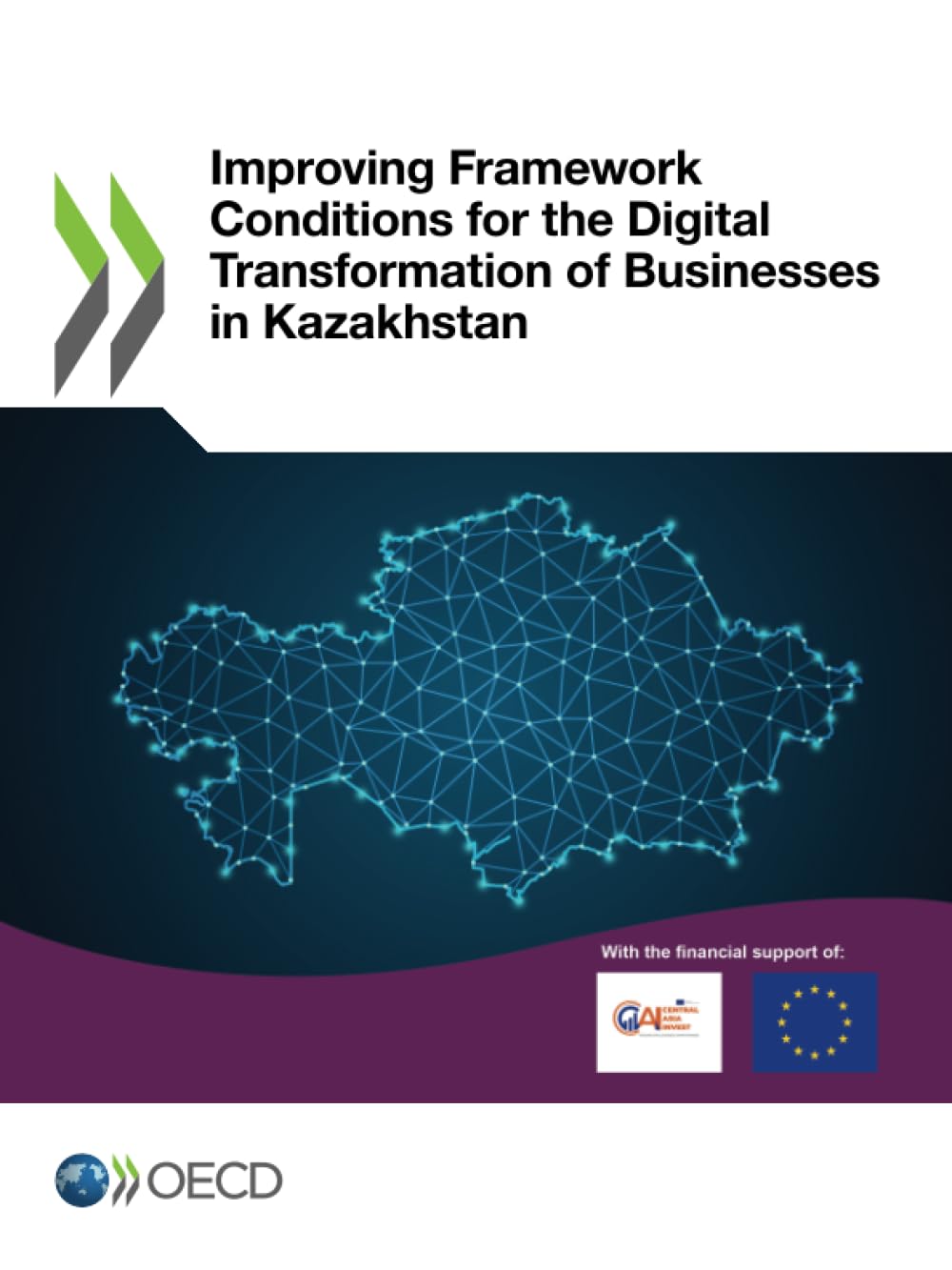 Improving Framework Conditions for the Digital Transformation of Businesses in Kazakhstan Business, Finance & Career