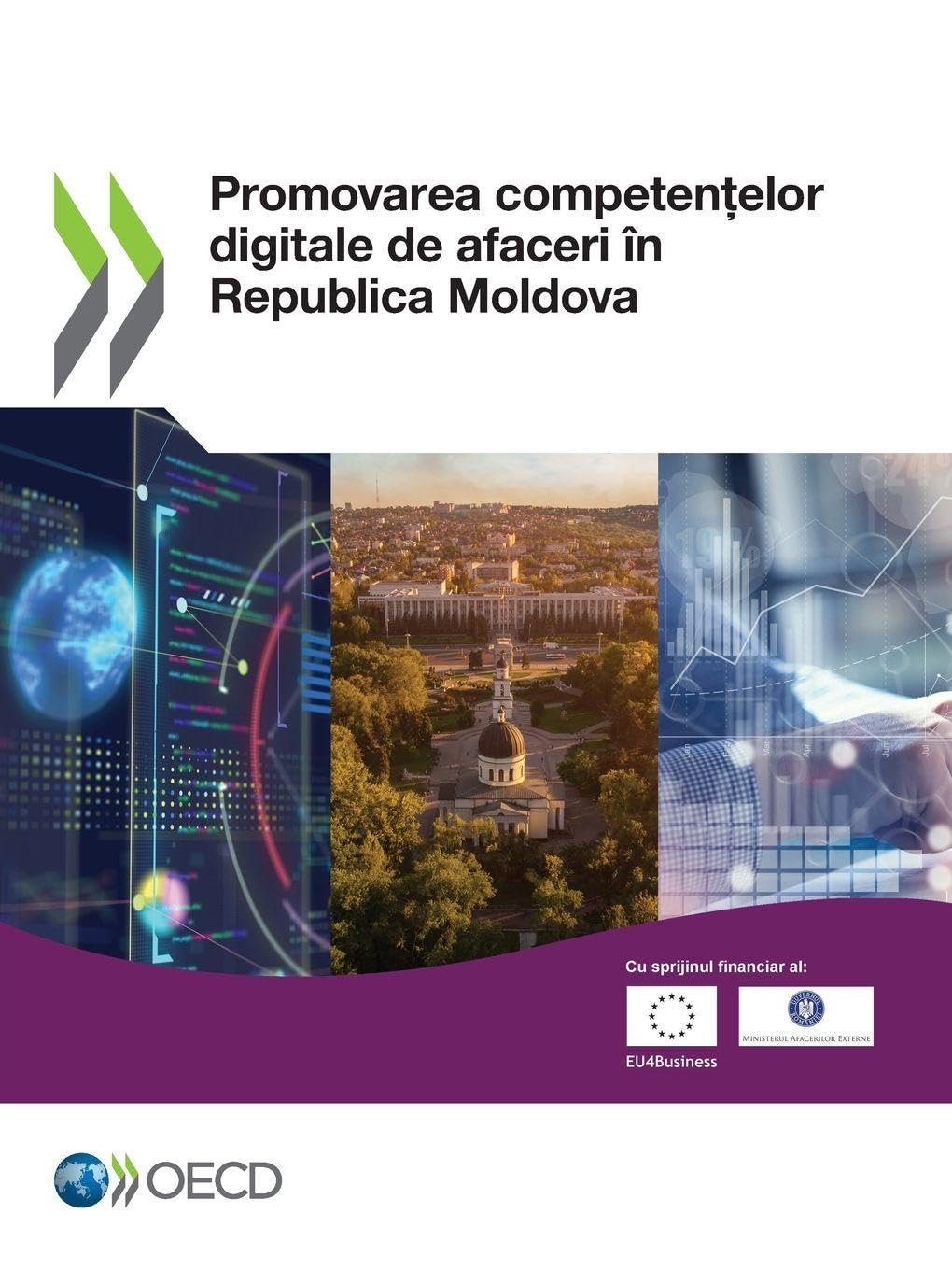 Promovarea competen¿elor digitale de afaceri în Republica Moldova Business, Finance & Career
