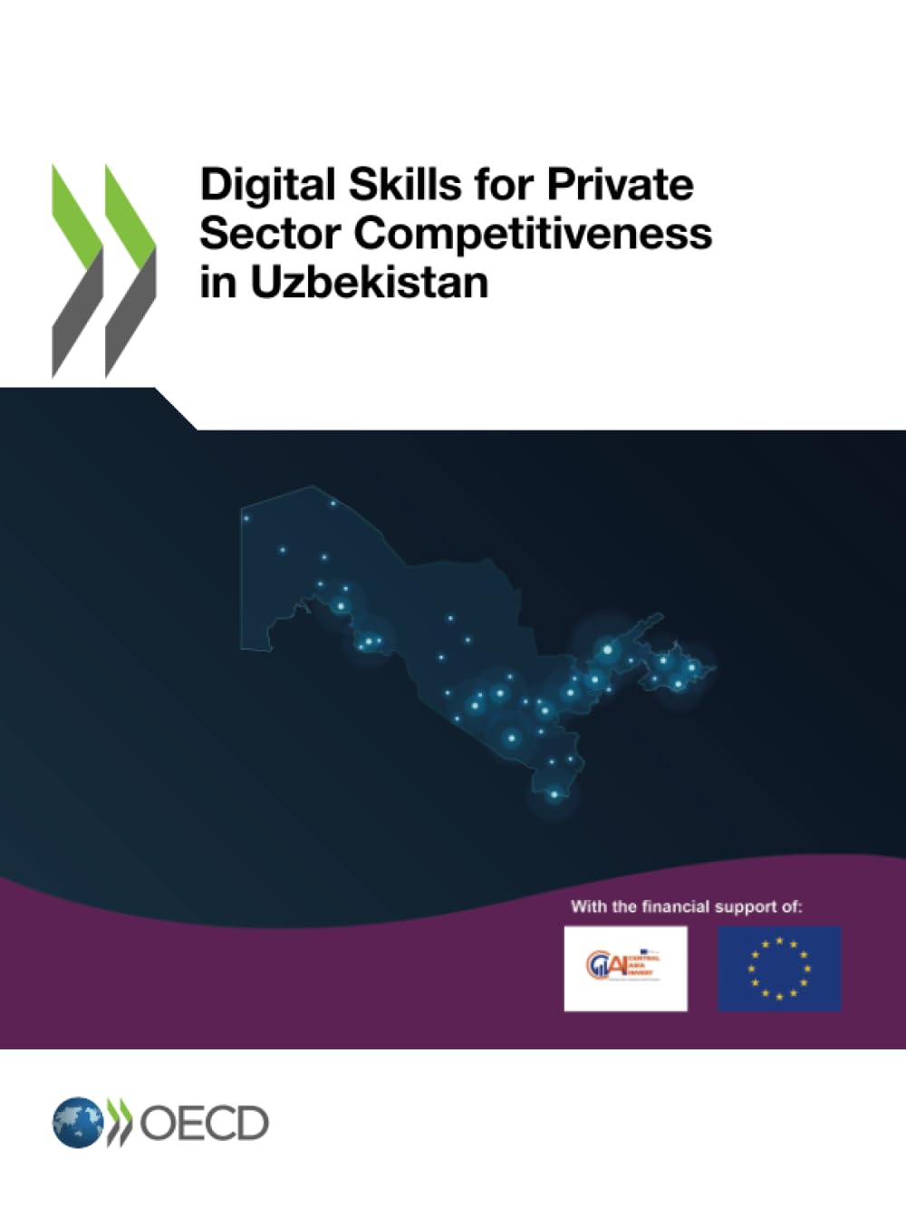 Digital Skills for Private Sector Competitiveness in Uzbekistan Law