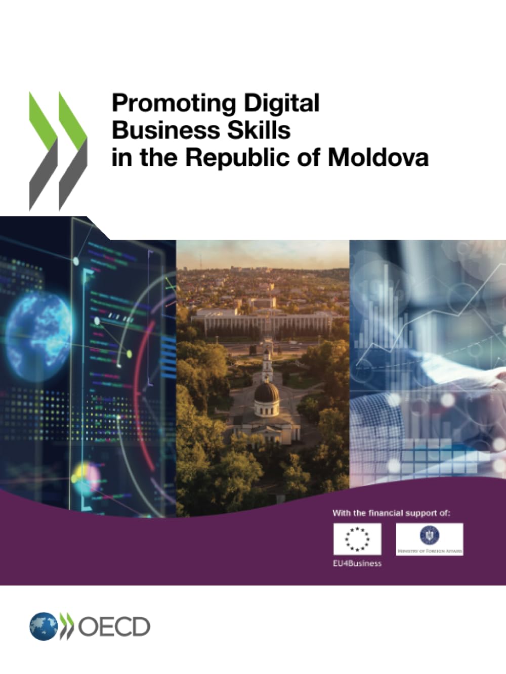 Promoting Digital Business Skills in the Republic of Moldova Business, Finance & Career