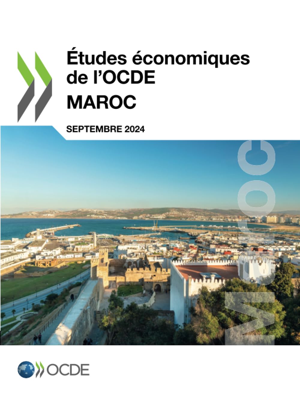 Études économiques de l’OCDE : Maroc 2024 Law