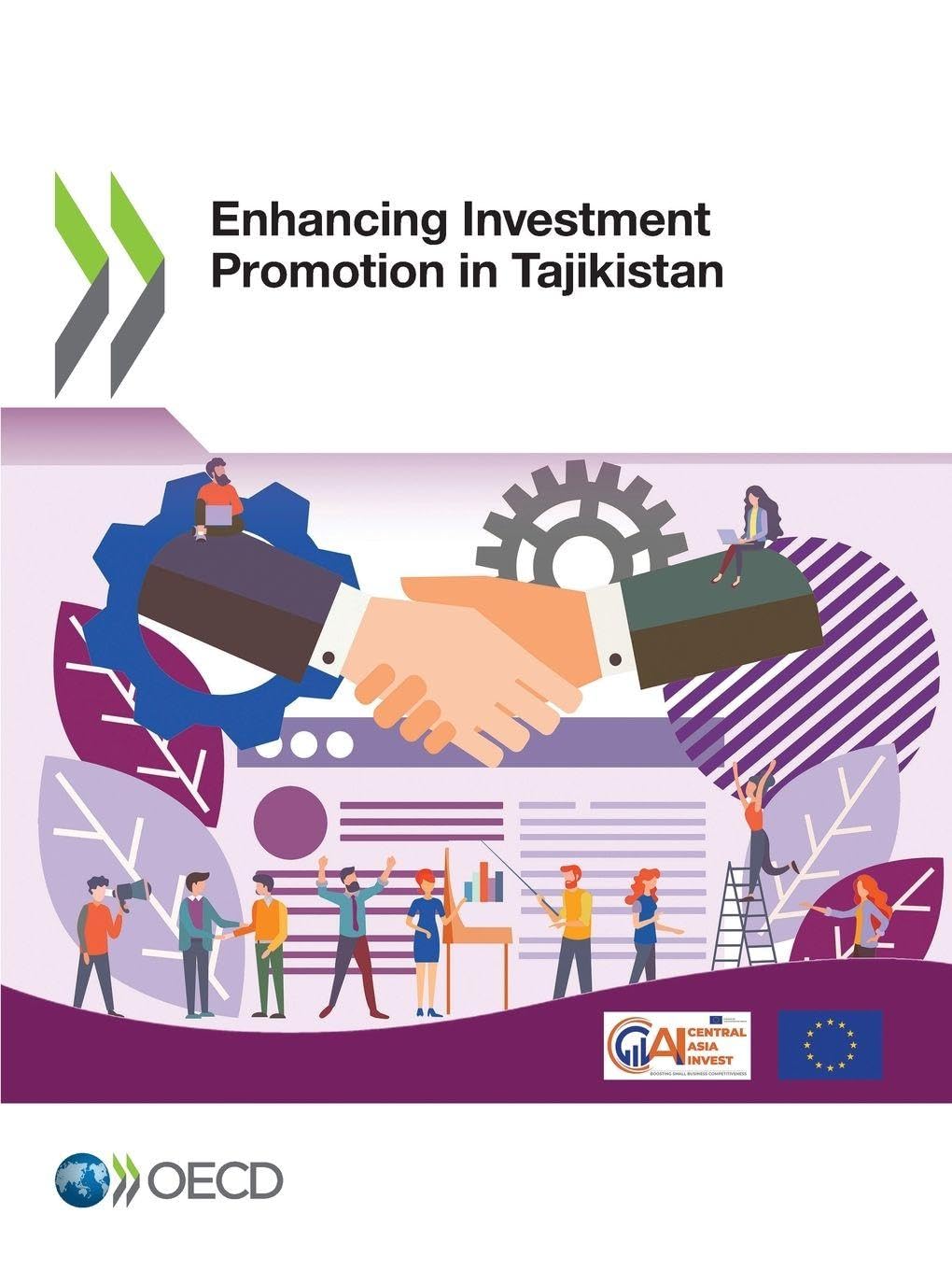 Enhancing Investment Promotion in Tajikistan Business & Technology