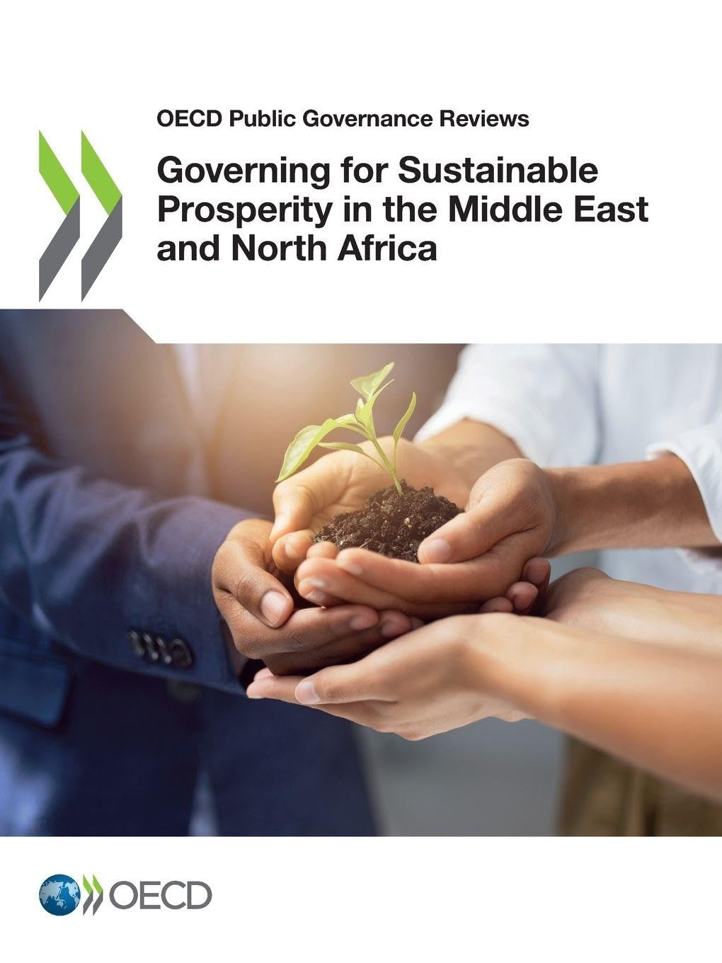 Governing for Sustainable Prosperity in the Middle East and North Africa Law