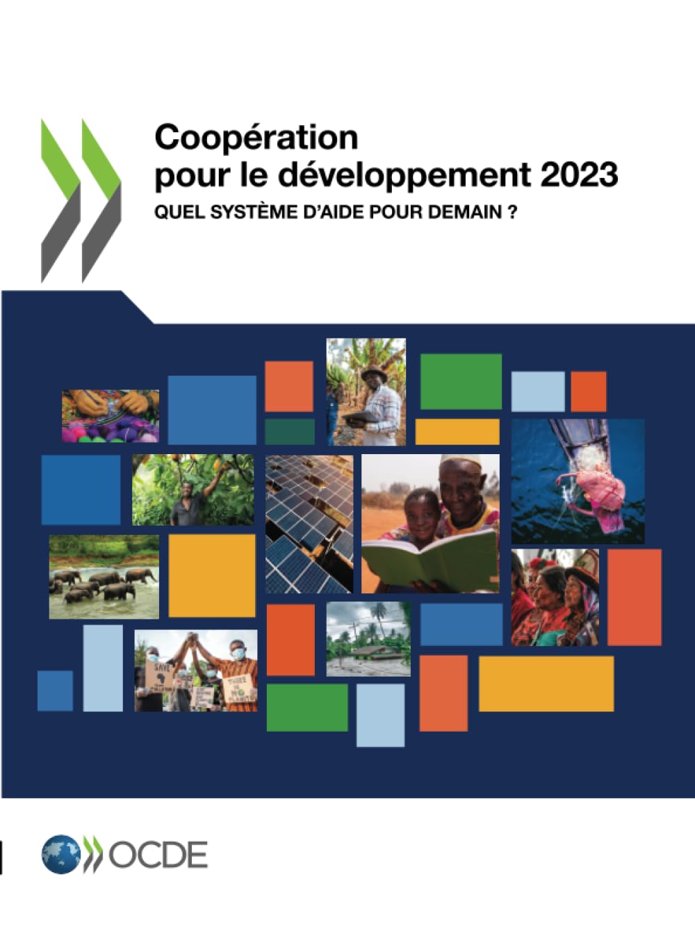 Coopération pour le développement 2023 Law