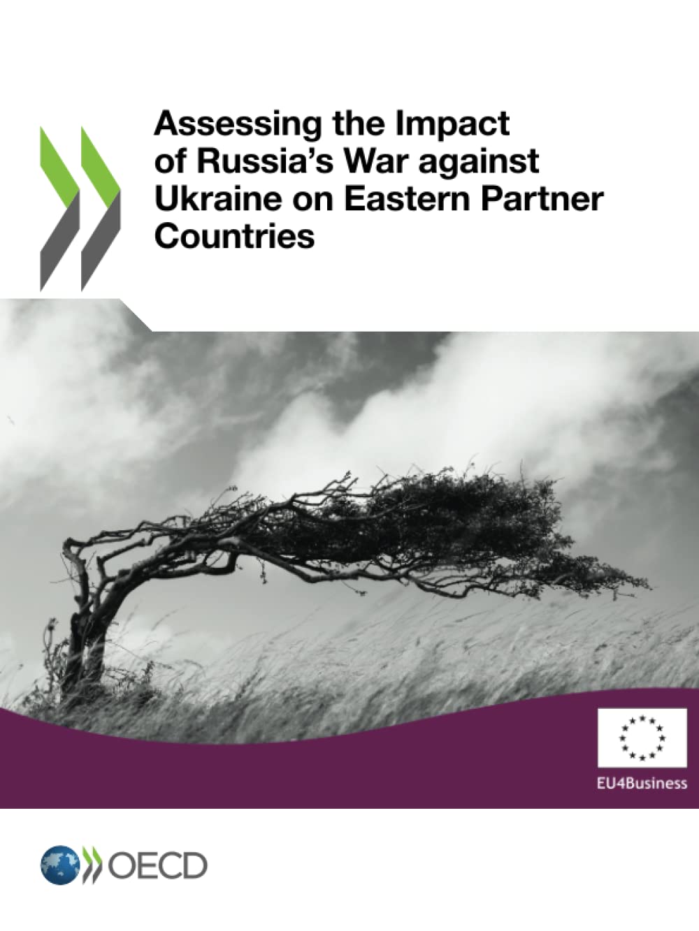 Assessing the Impact of Russia's War against Ukraine on Eastern Partner Countries Books