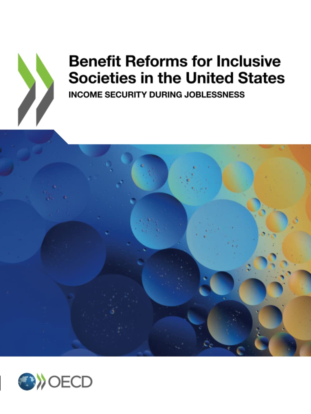 Benefit Reforms for Inclusive Societies in the United States Law