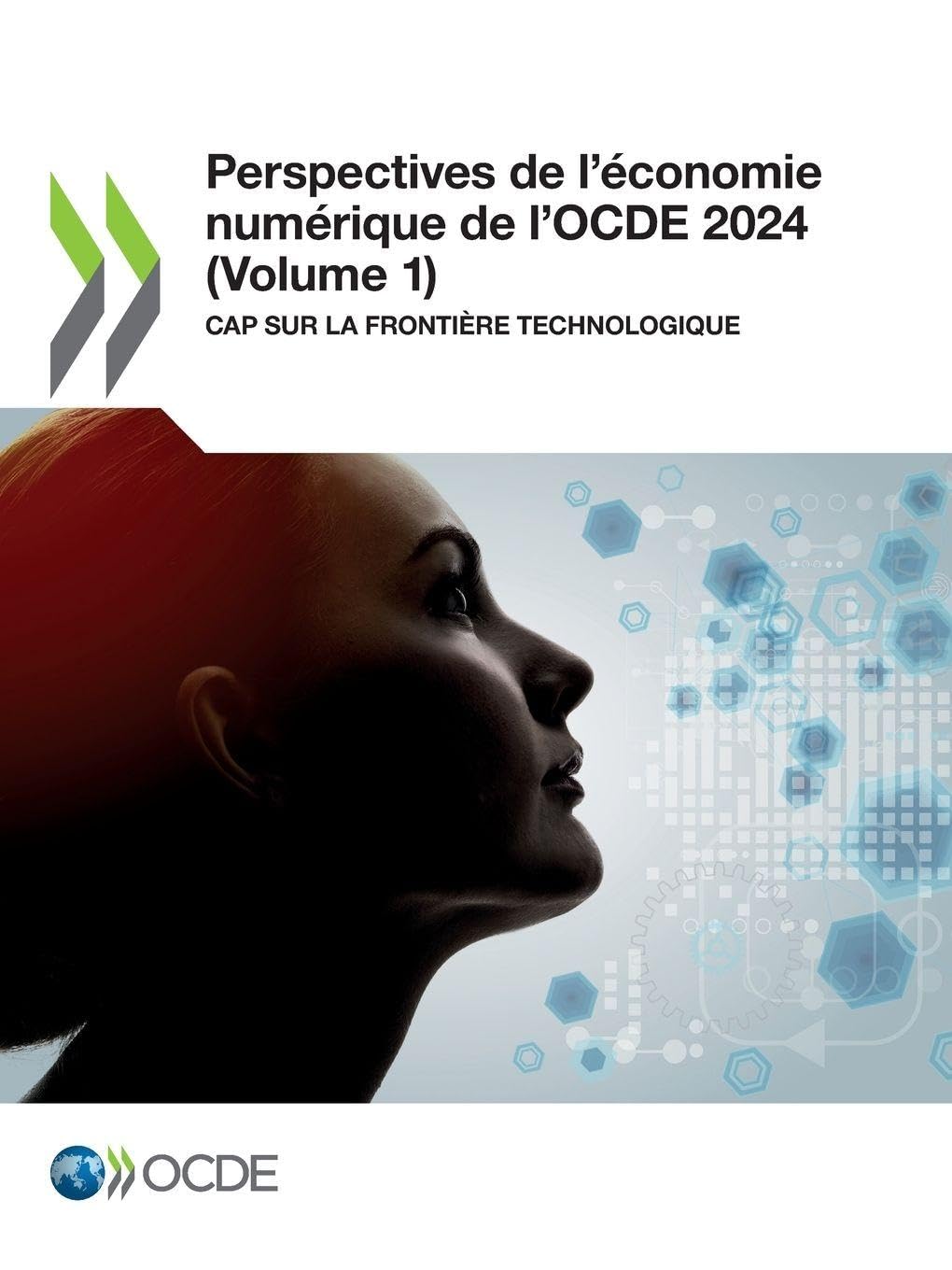 Perspectives de l'économie numérique de l'OCDE 2024 (Volume 1) Business, Finance & Career