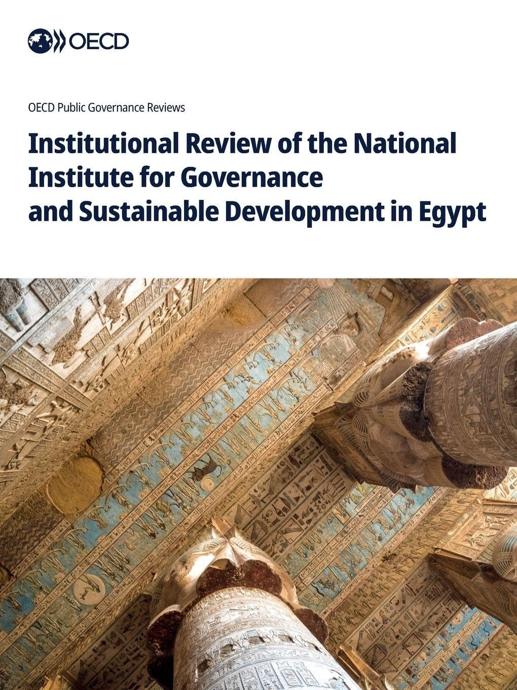 Institutional Review of the National Institute for Governance and Sustainable Development in Egypt Law