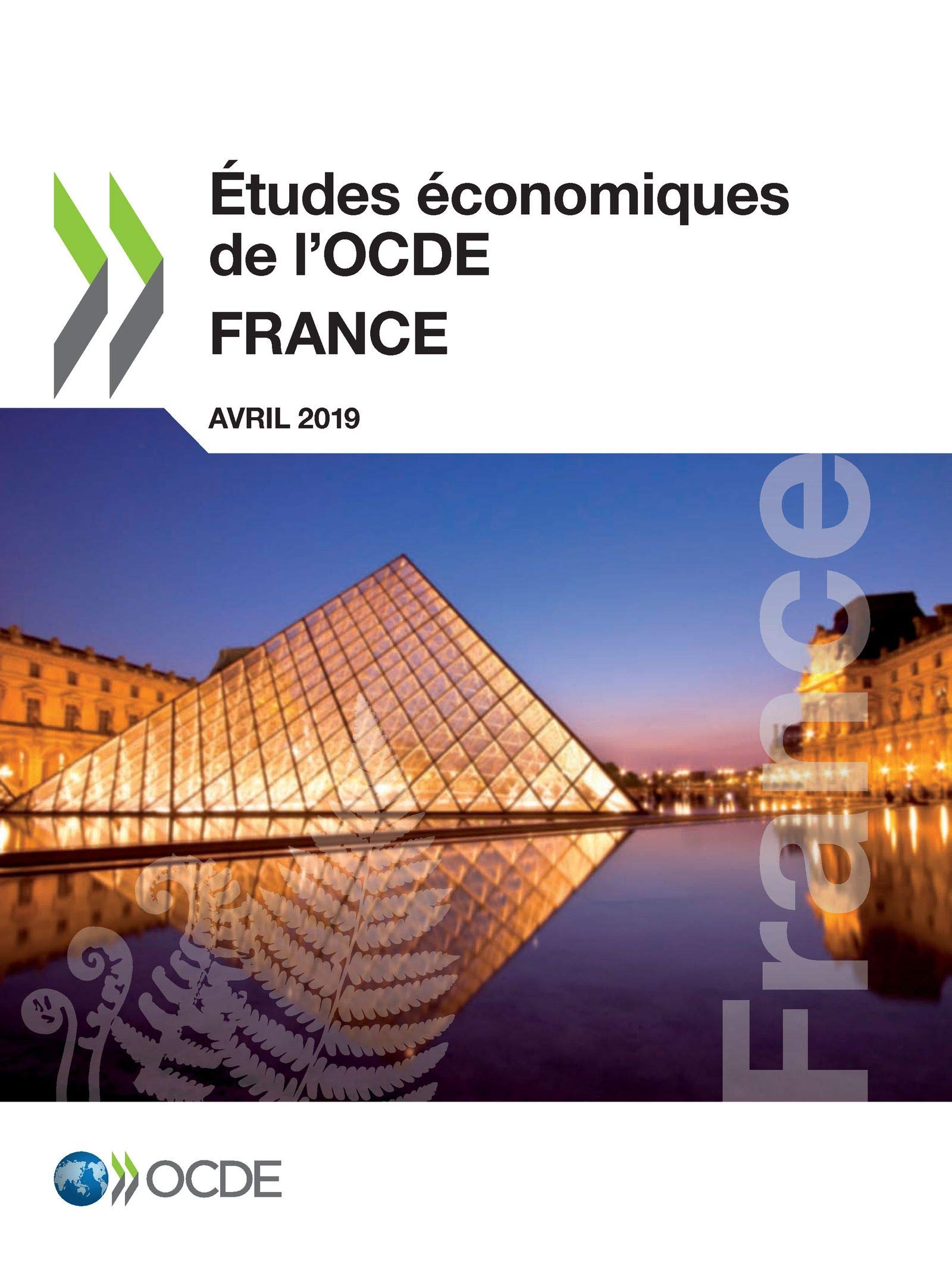 Études Économiques de l'Ocde: France 2019 book