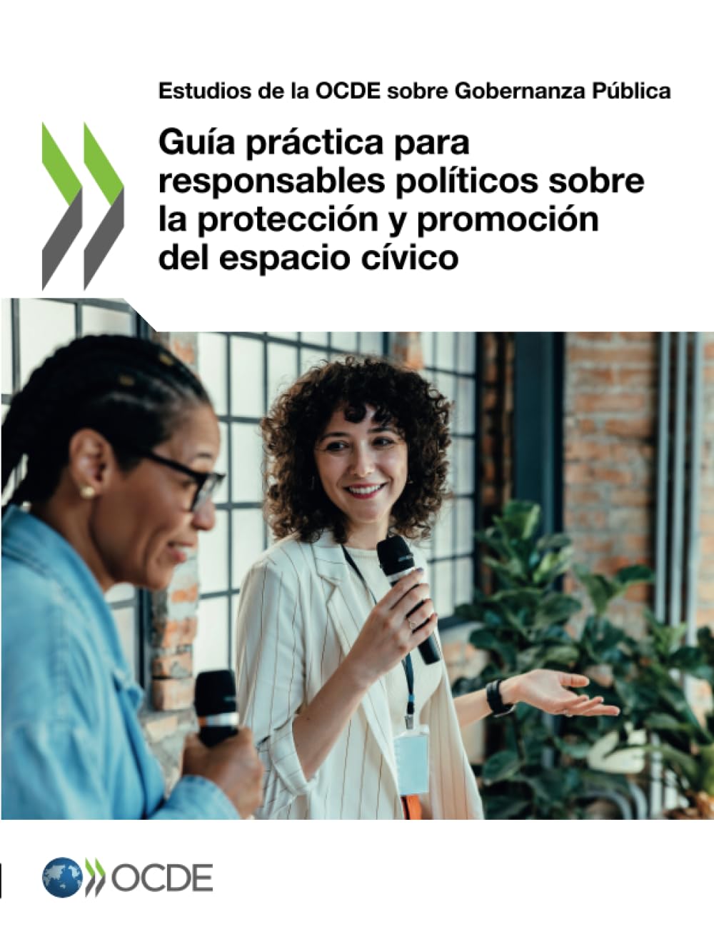 Guía práctica para responsables políticos sobre la protección y promoción del espacio cívico Law