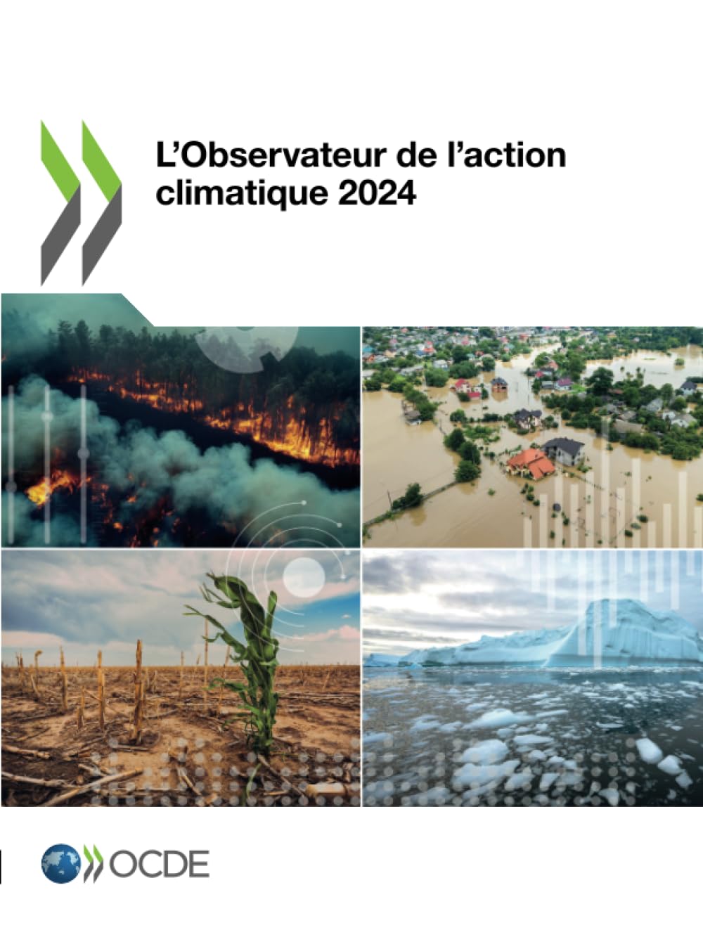 L'Observateur de l'action climatique 2024 Business, Finance & Career