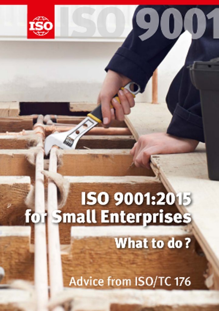 ISO 9001:2015 for Small Enterprises - What to do? Books