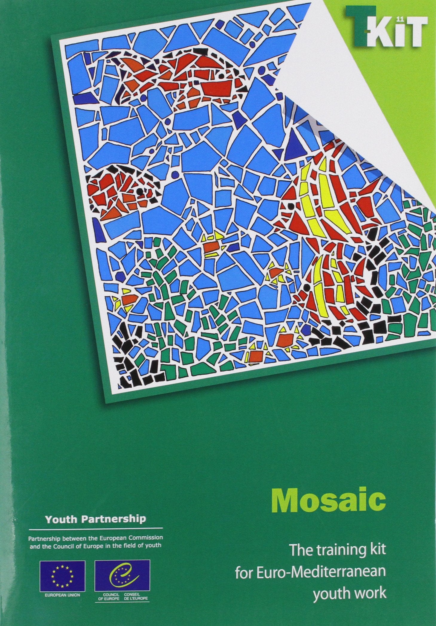 Mosaic: The Training Kit for Euro-mediterranean Youth Work (T-kit, Band 11) Social Sciences