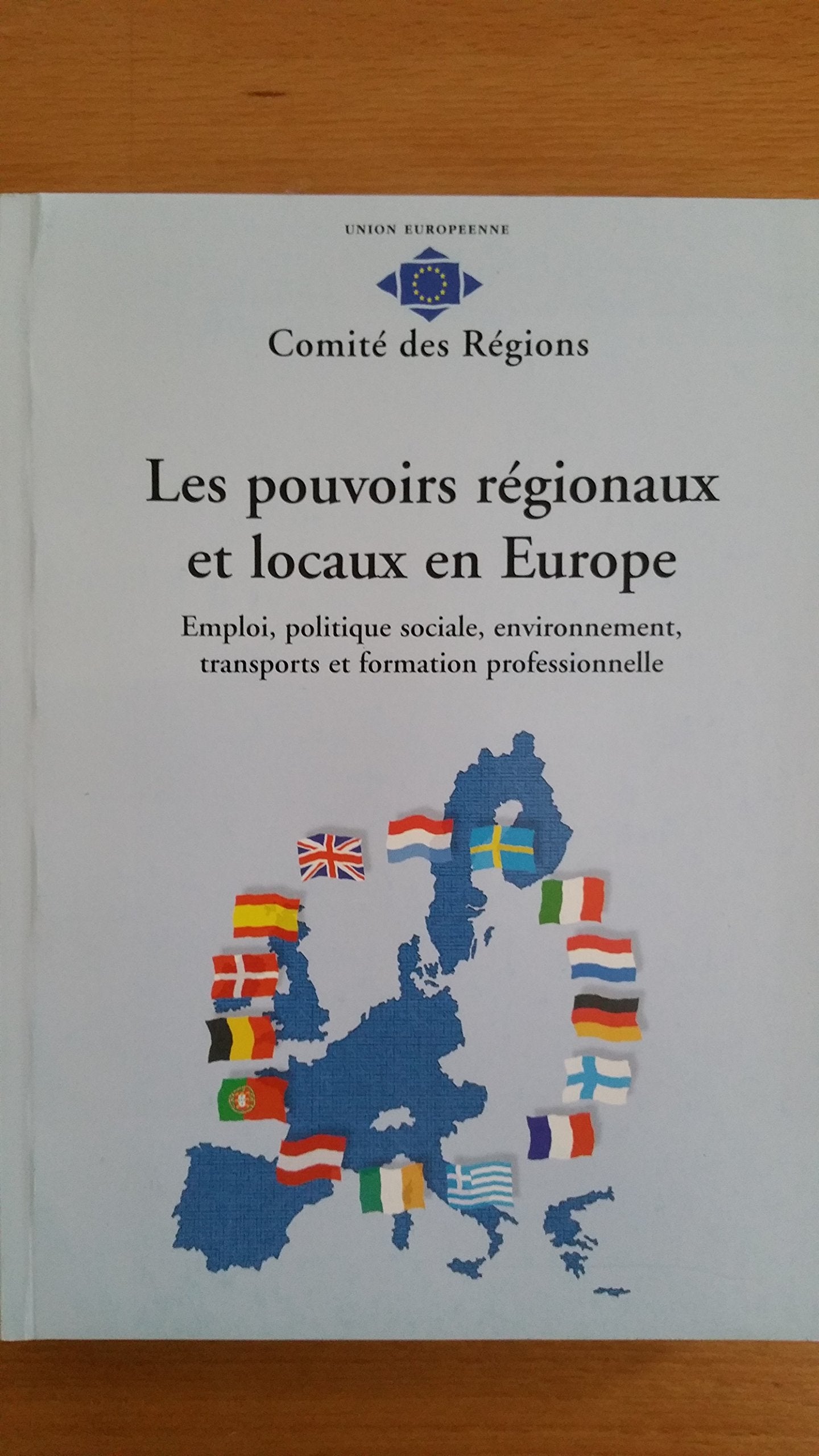 Les Pouvoirs Regionaux Et Locaux En Europe / Regional Capacities and Buildings in Europe: Emploi, Politique Sociale, Environnement, Transports Et Formation Professionnelle book