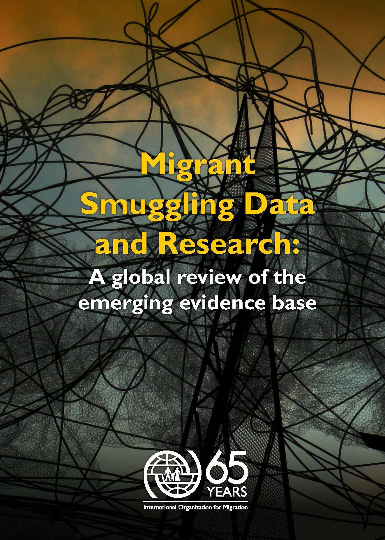 Migrant Trafficking and Human Smuggling in Europe: Review of the Evidence With Case Studies from Hungary, Poland and Ukraine: A Review of the Evidence ... Case Studies from Hungary, Poland and Ukraine book